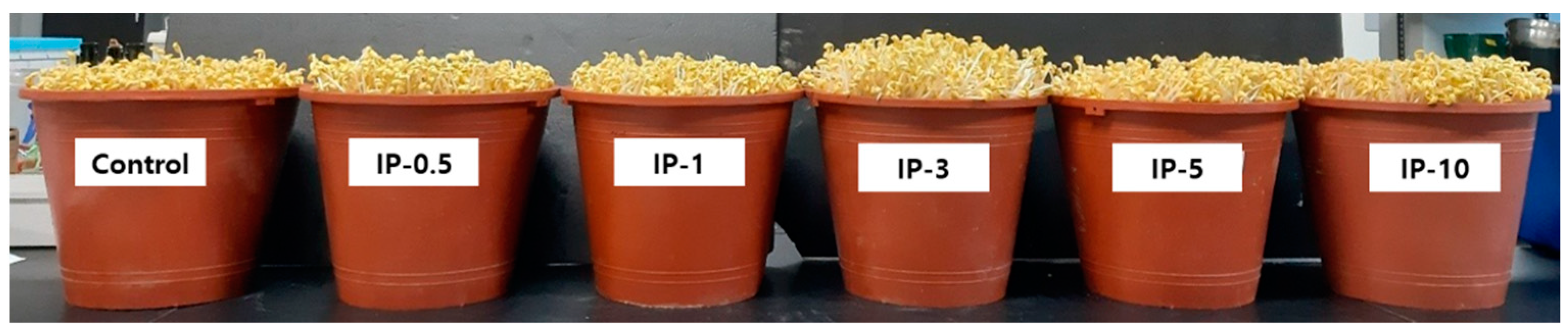 Molecules 27 01152 g001 550