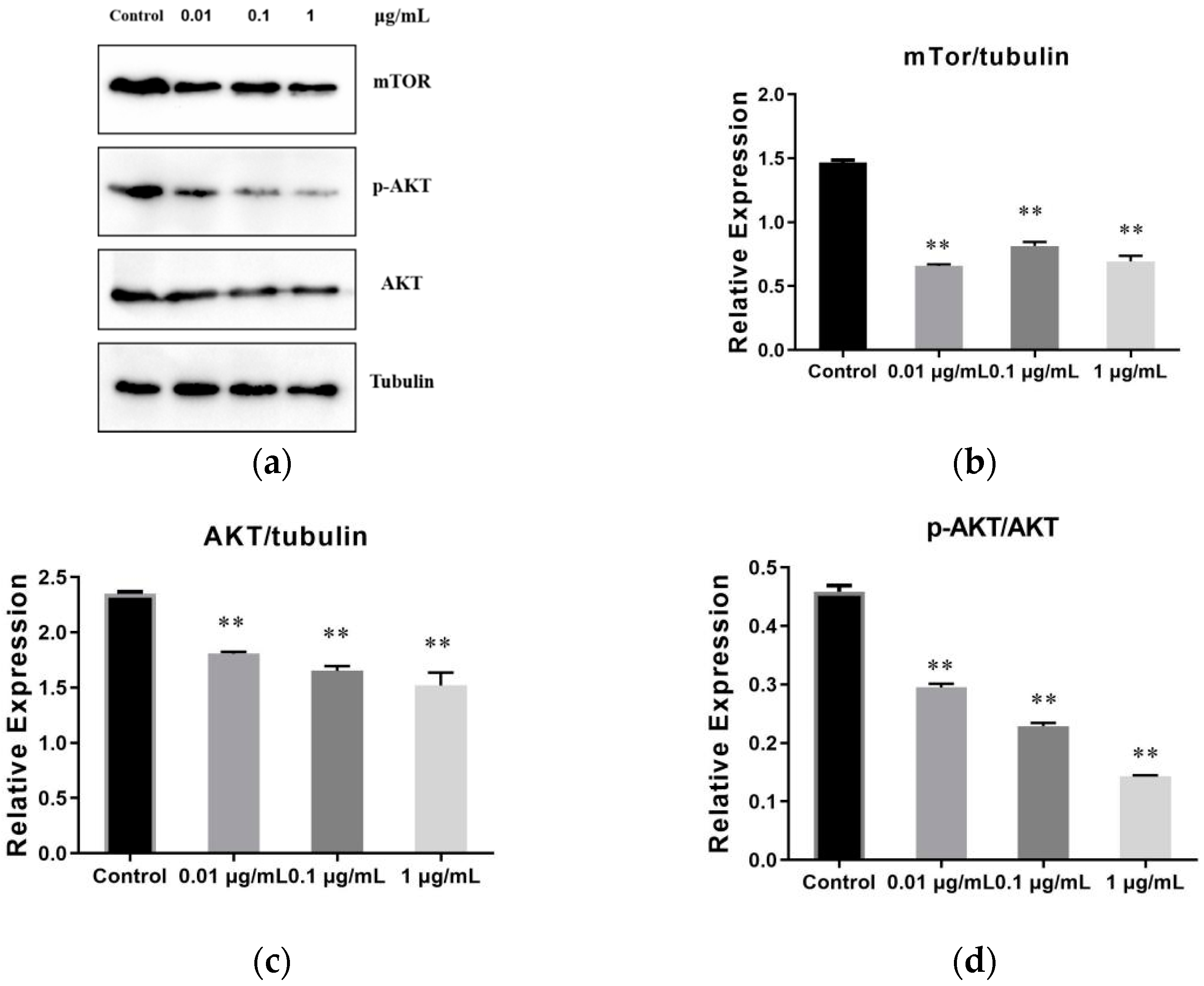Molecules 27 01153 g007 550