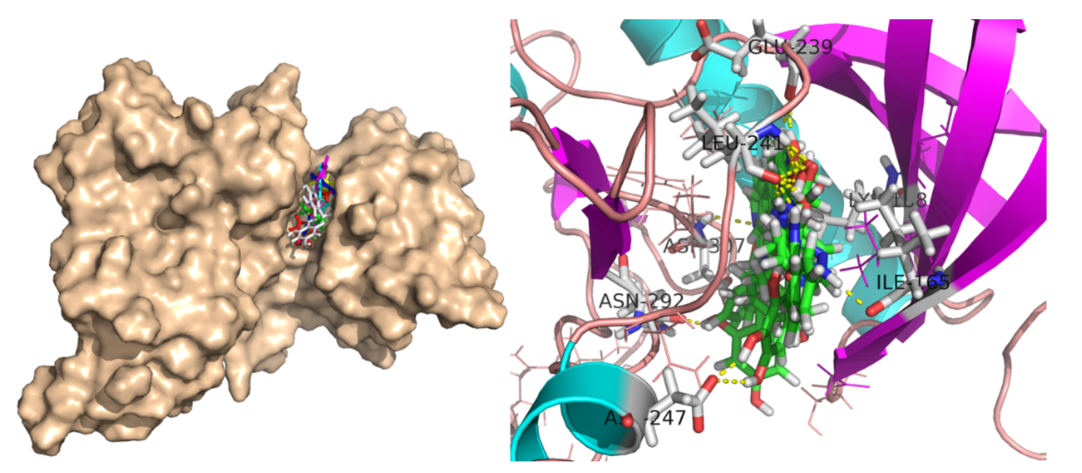 Molecules 27 01159 g006