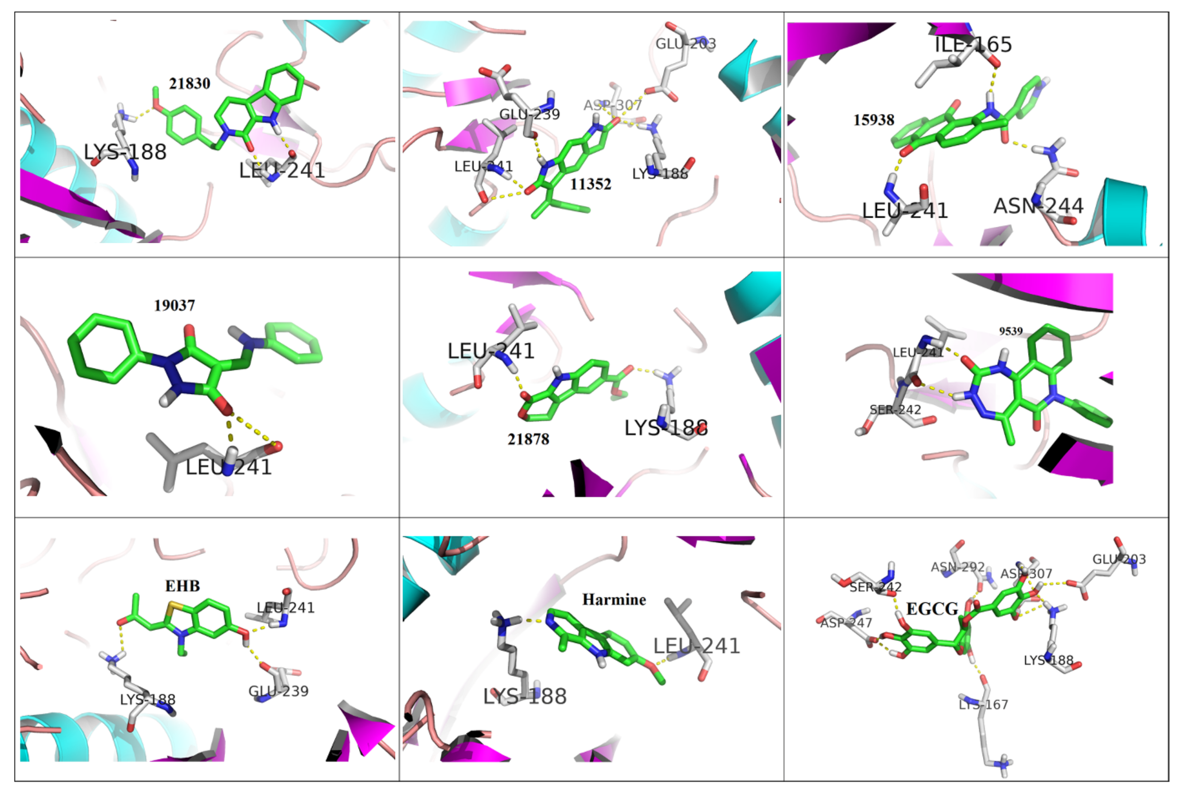 Molecules 27 01159 g007