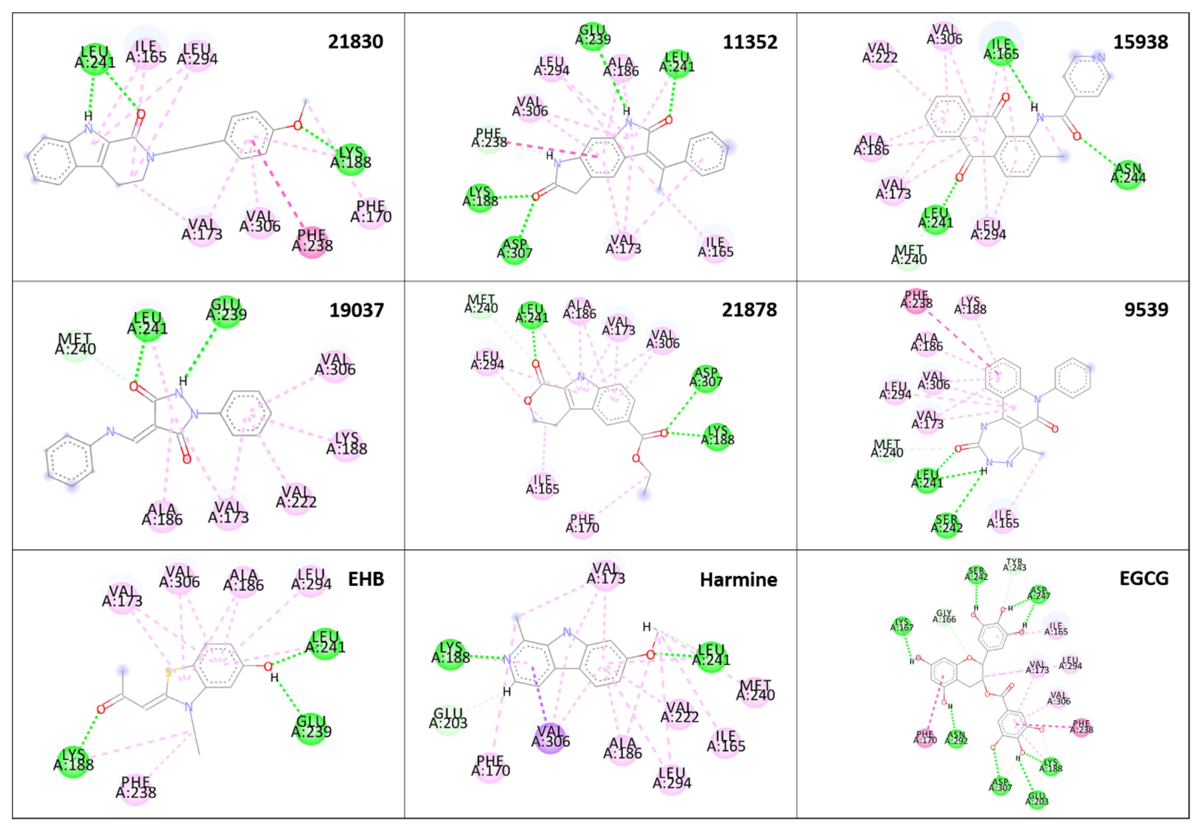 Molecules 27 01159 g008