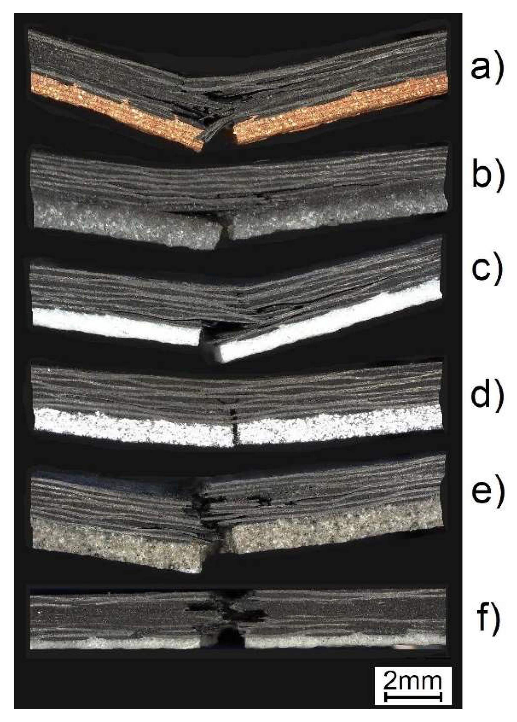Molecules 27 01168 g007