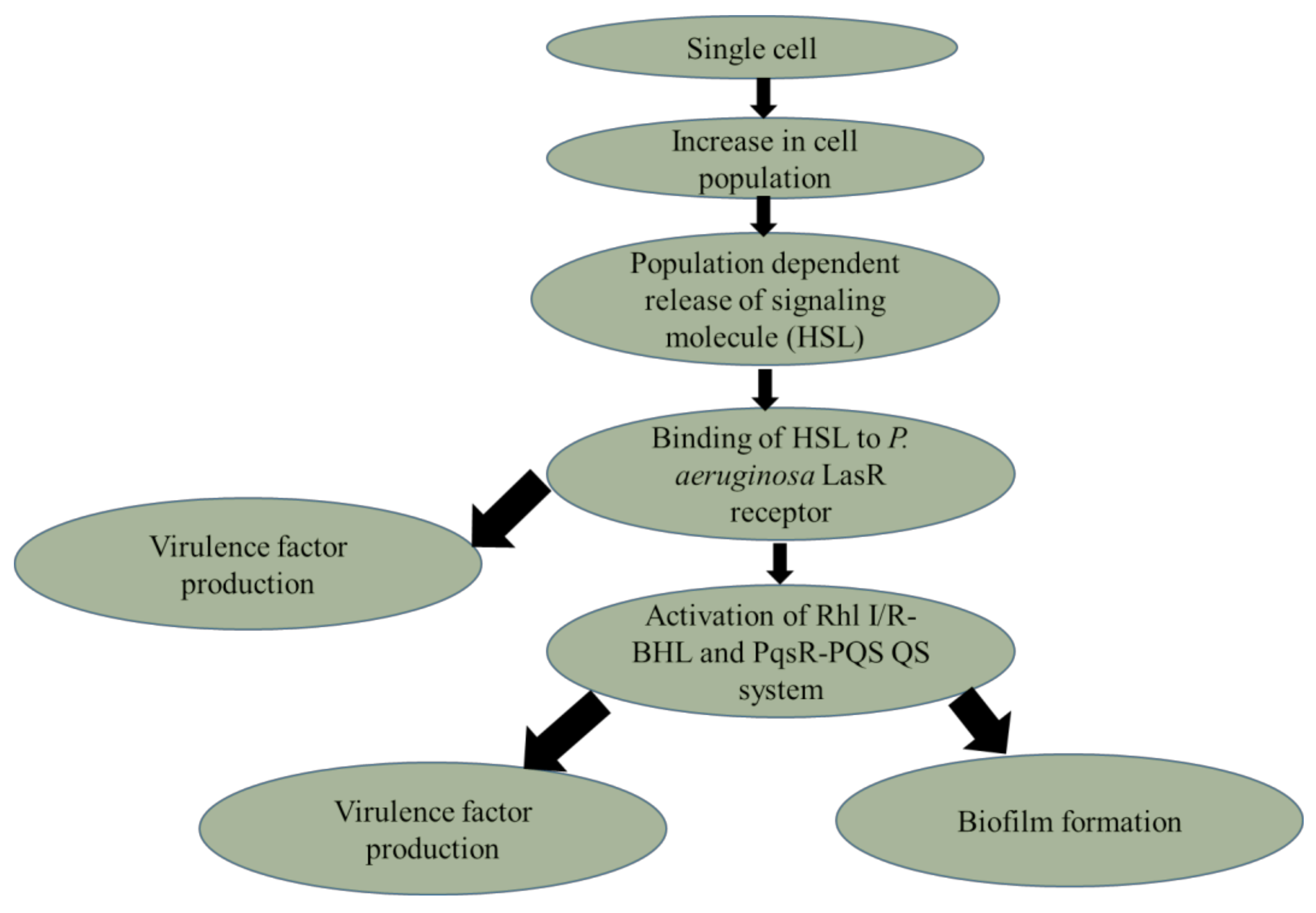 Molecules 27 01169 g007 550