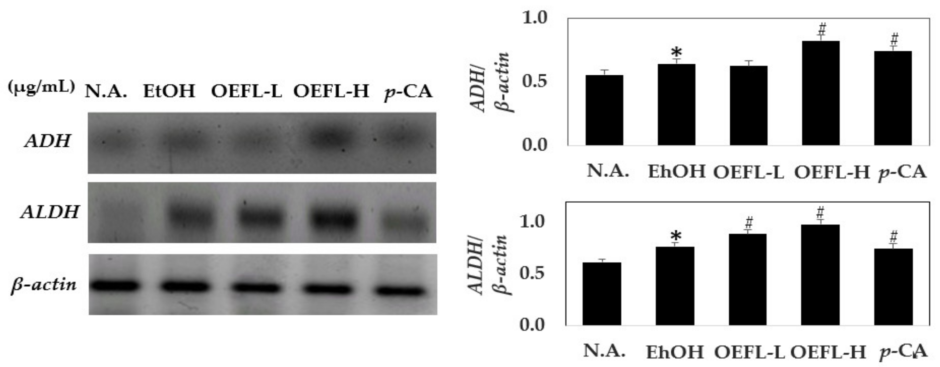 Molecules 27 01175 g008 Molecules 27 01175 g008