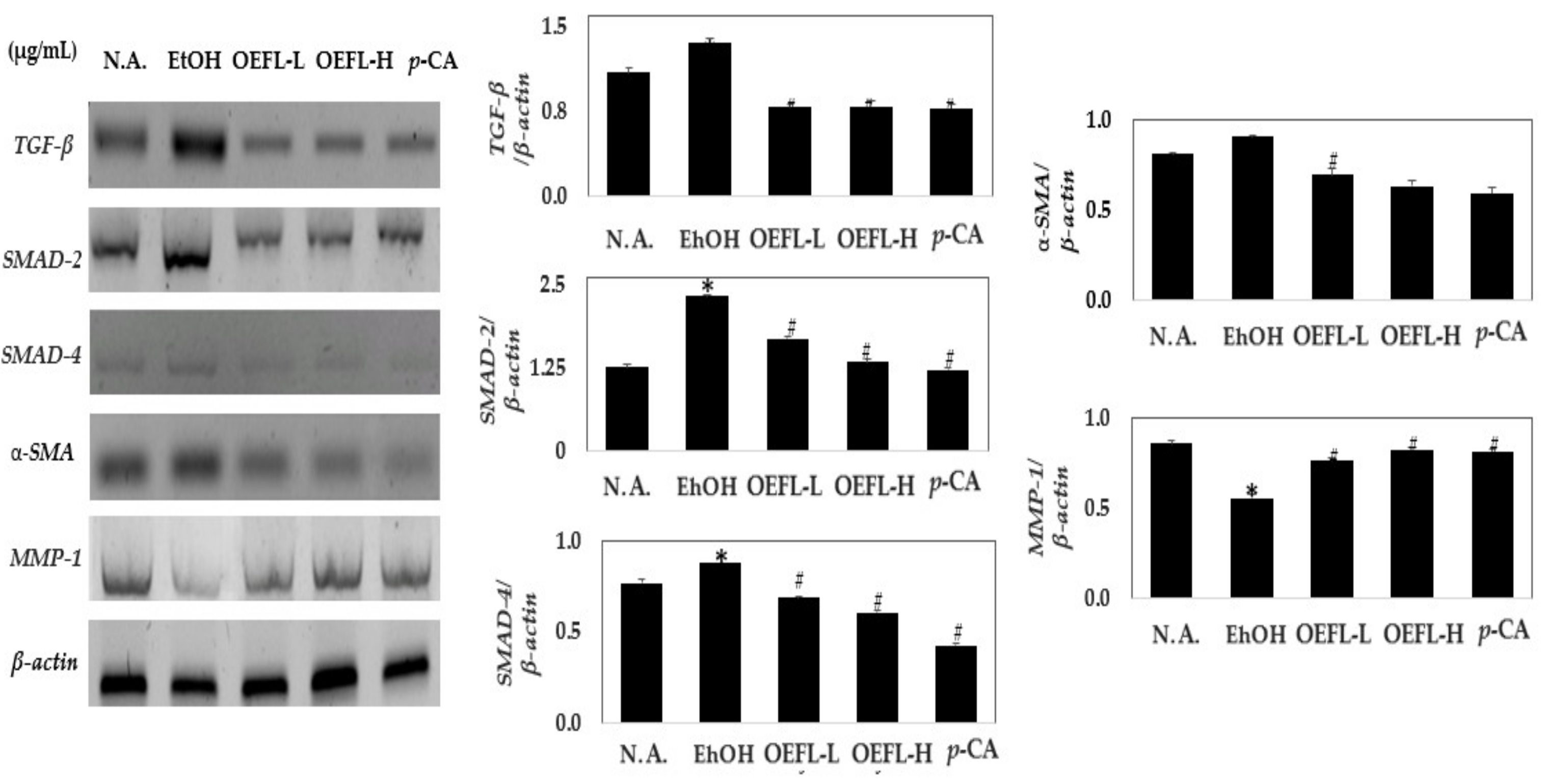 Molecules 27 01175 g009 Molecules 27 01175 g009