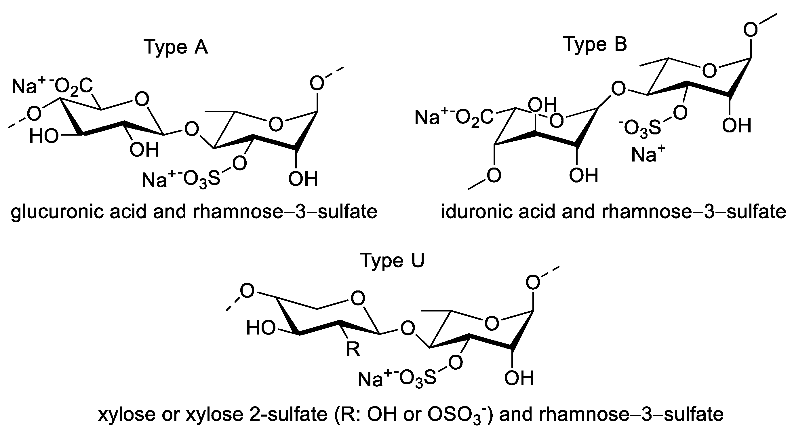 Molecules 27 01178 g005