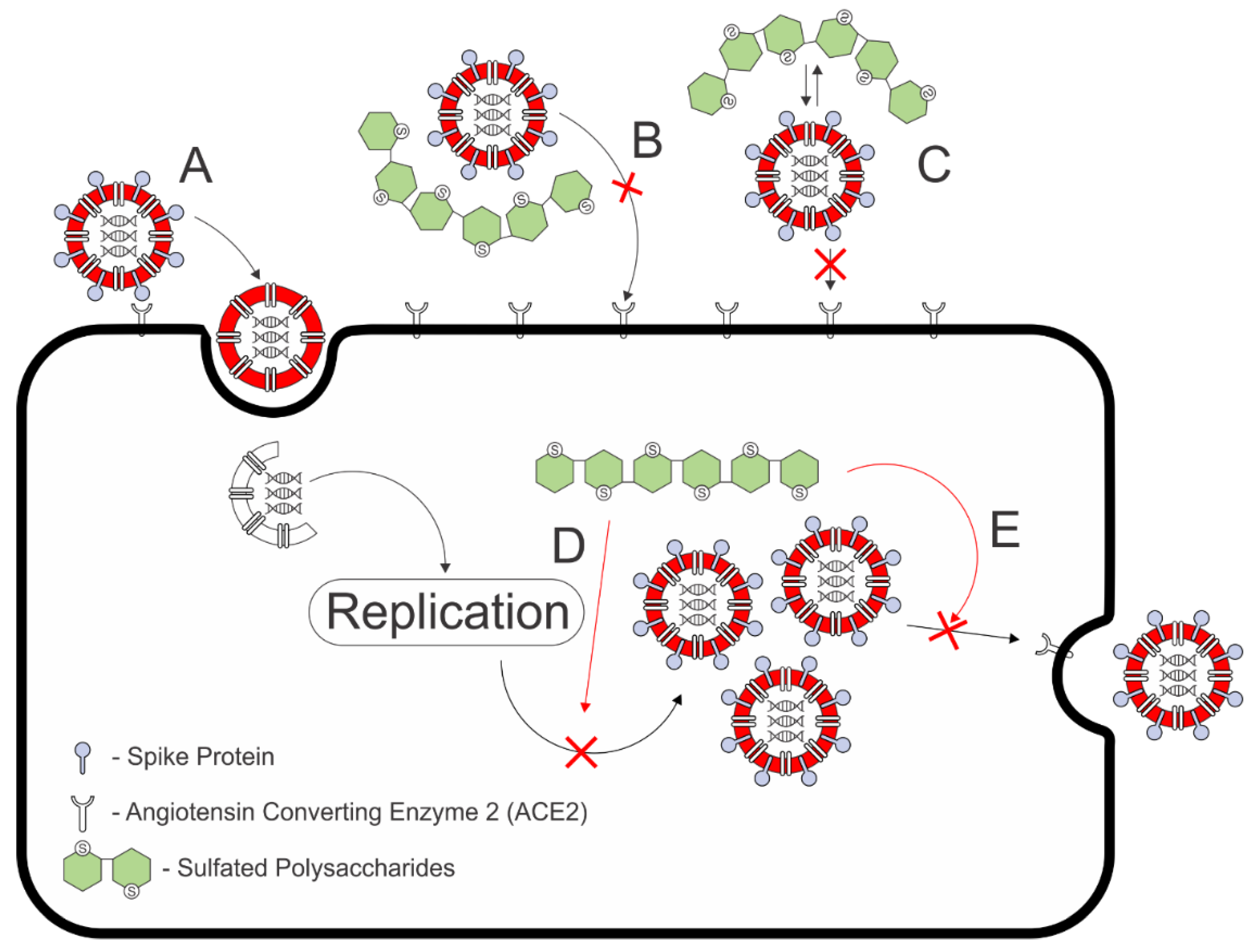 Molecules 27 01178 g008