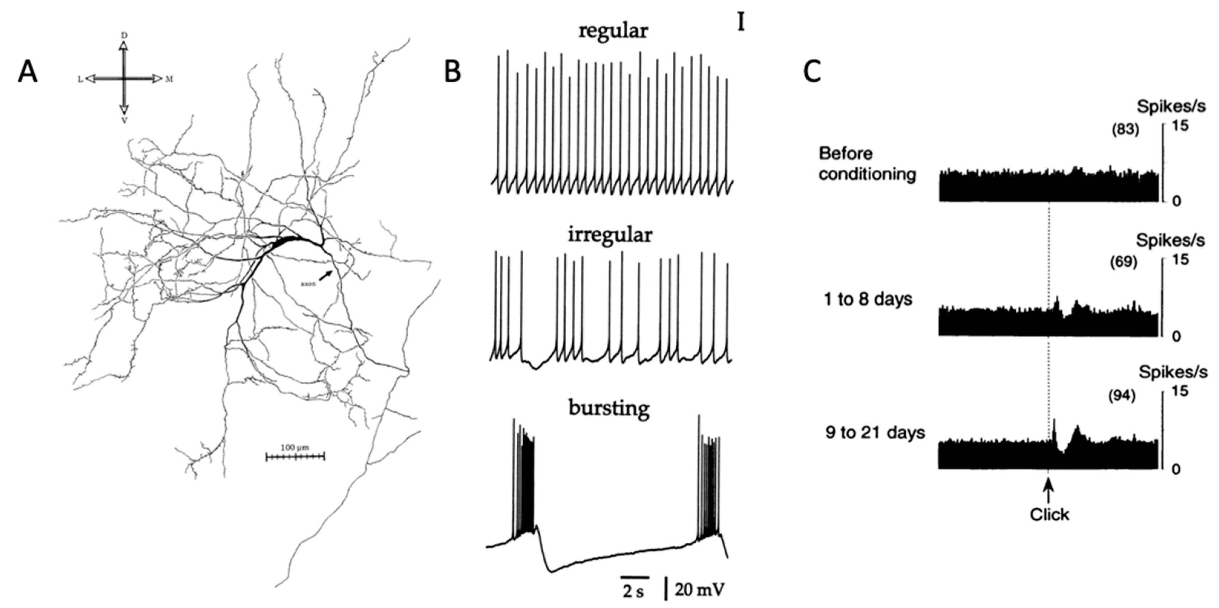 Molecules 27 01202 g001