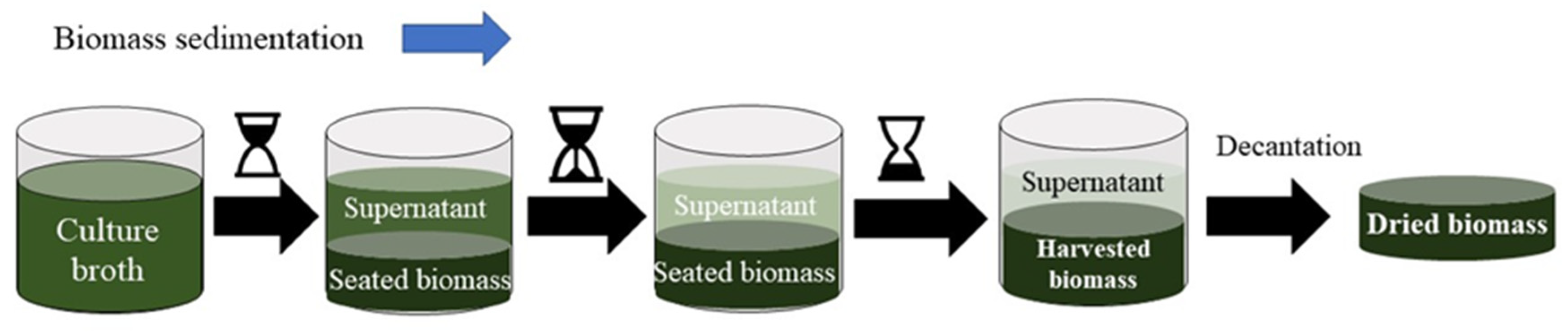 Molecules 27 01205 g004 Molecules 27 01205 g004