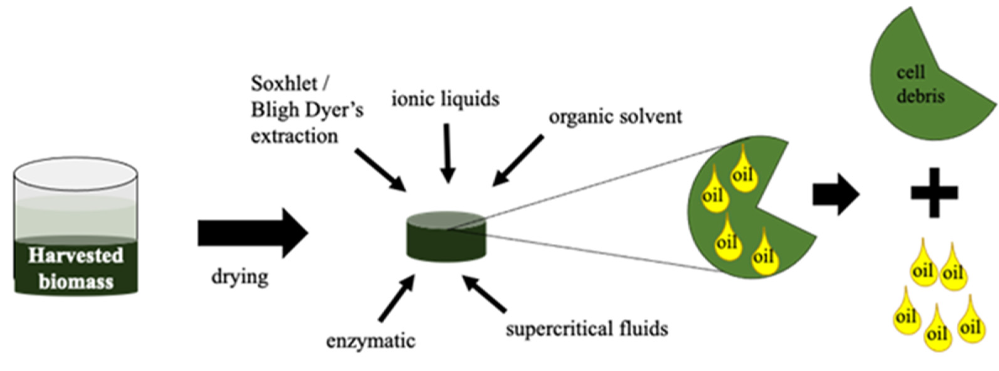 Molecules 27 01205 g005 Molecules 27 01205 g005