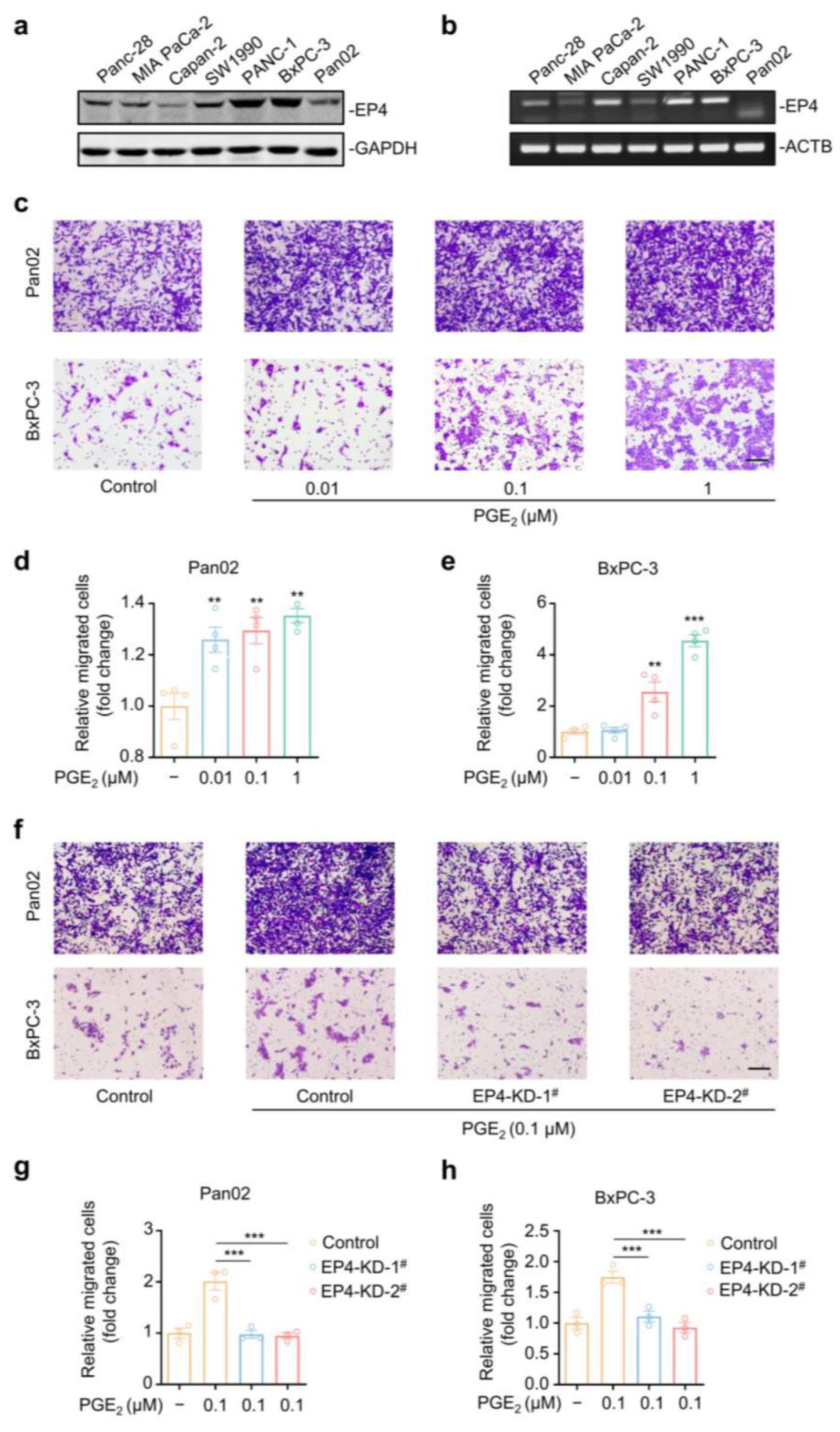 Molecules 27 01209 g001 Molecules 27 01209 g001