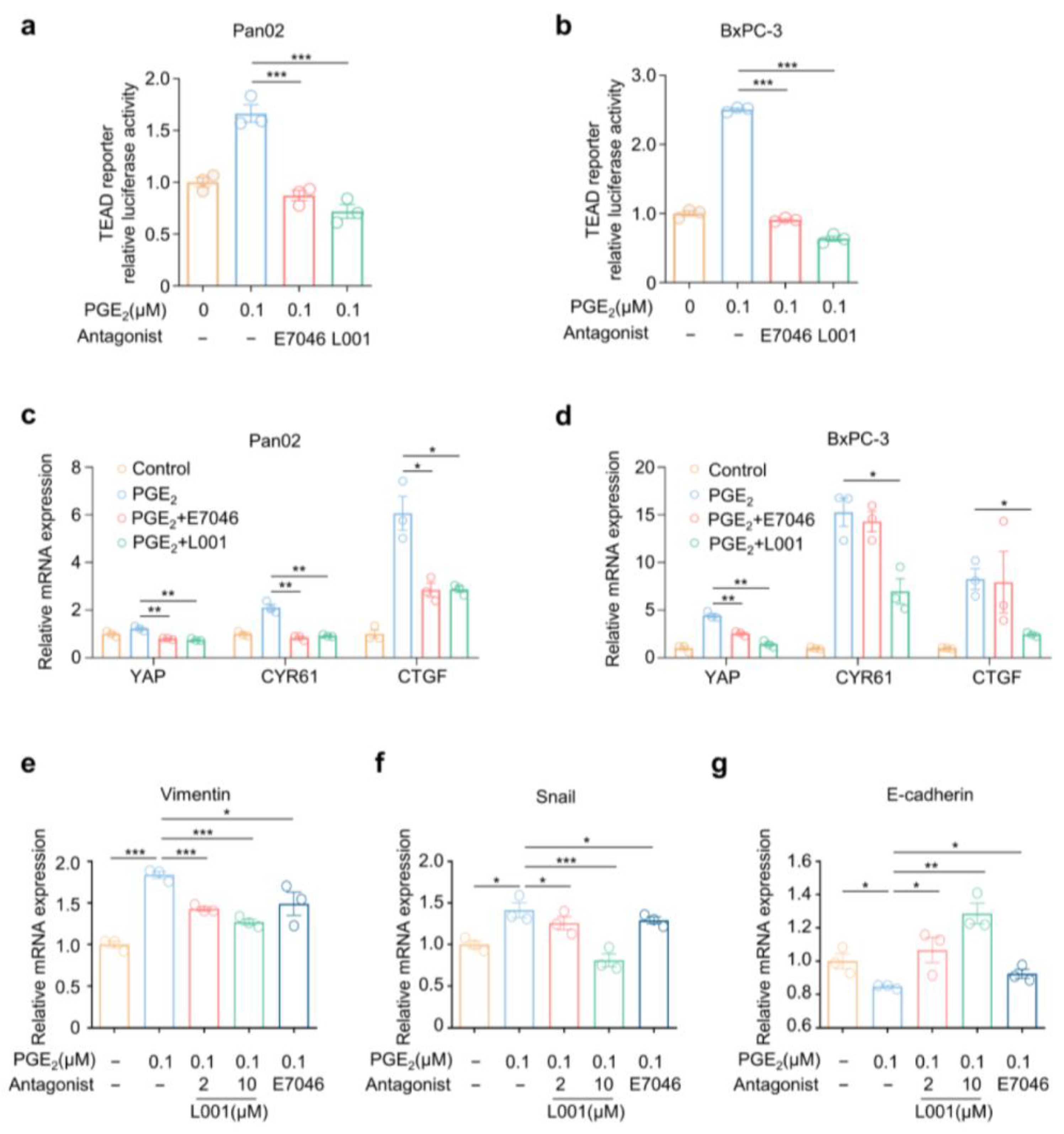 Molecules 27 01209 g005 Molecules 27 01209 g005