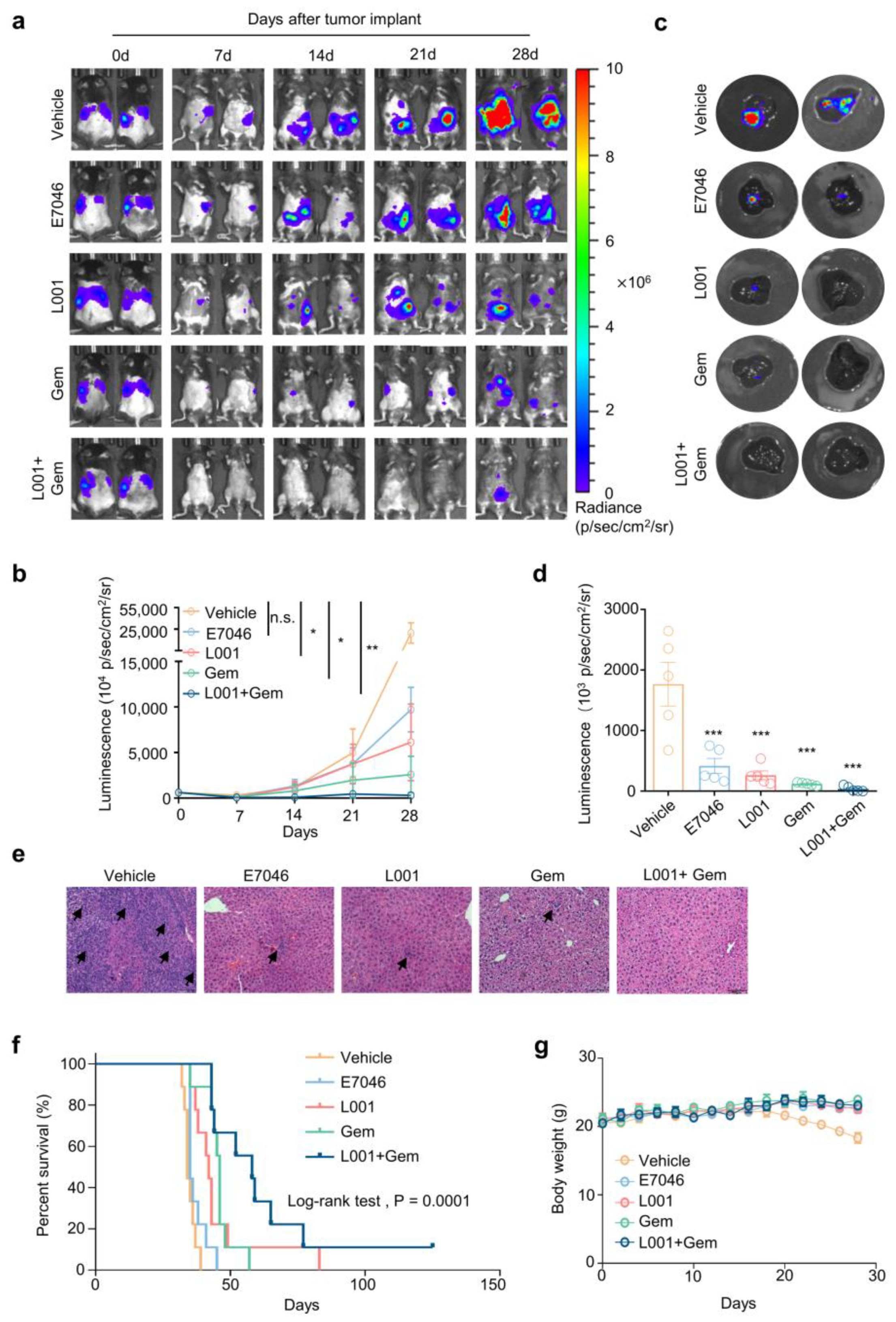 Molecules 27 01209 g006 Molecules 27 01209 g006