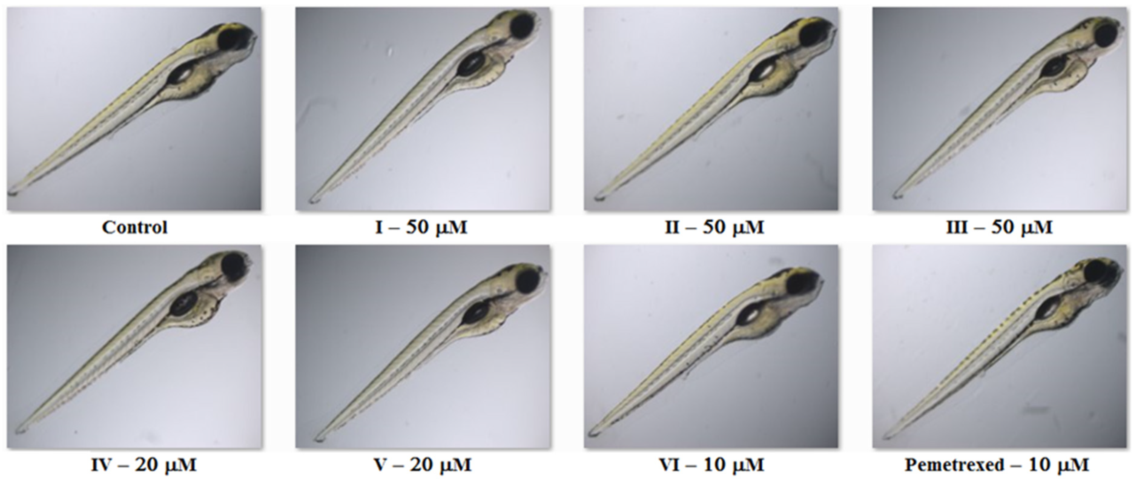 Molecules 27 01211 g005 550