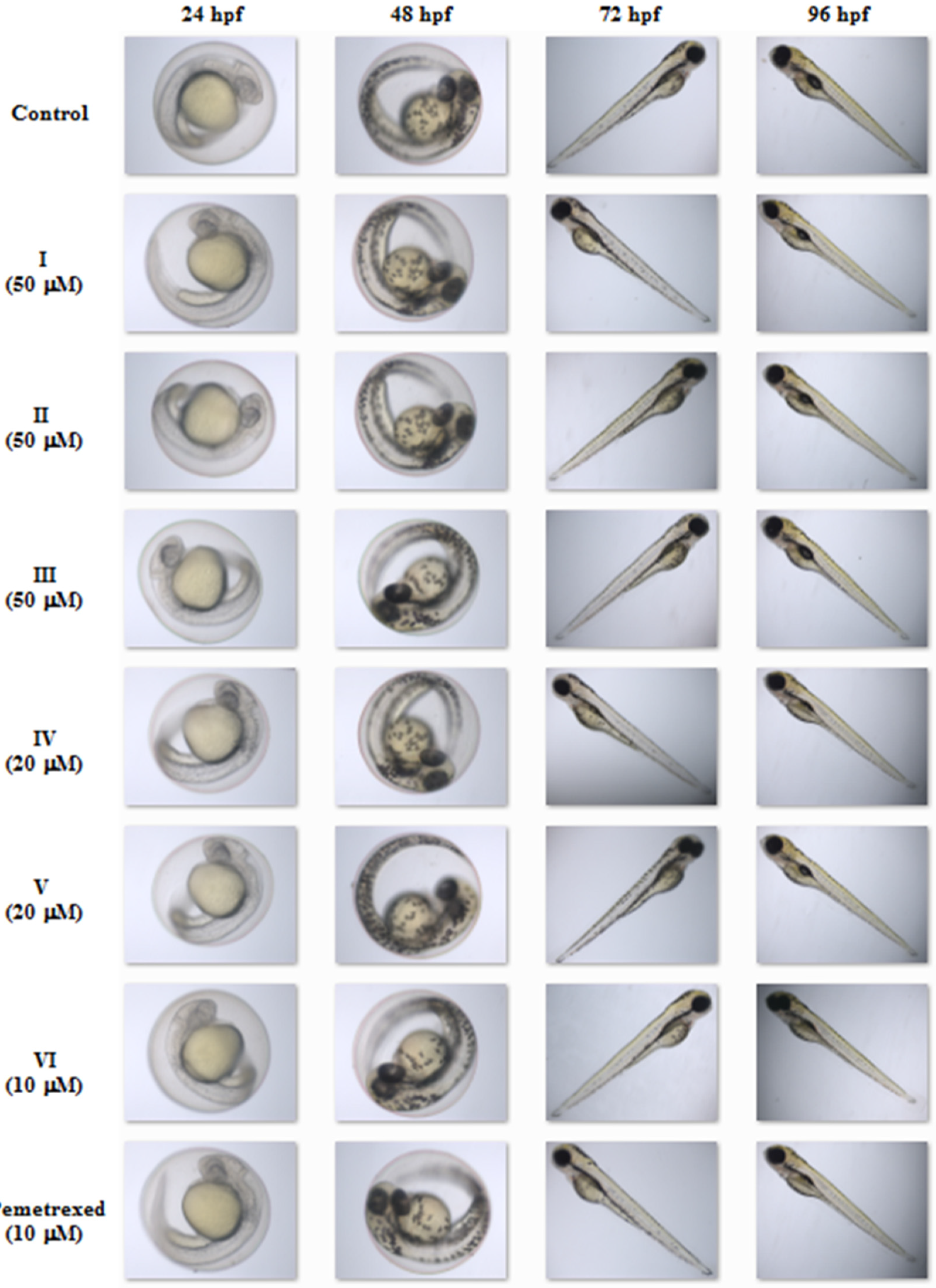 Molecules 27 01211 g006 550