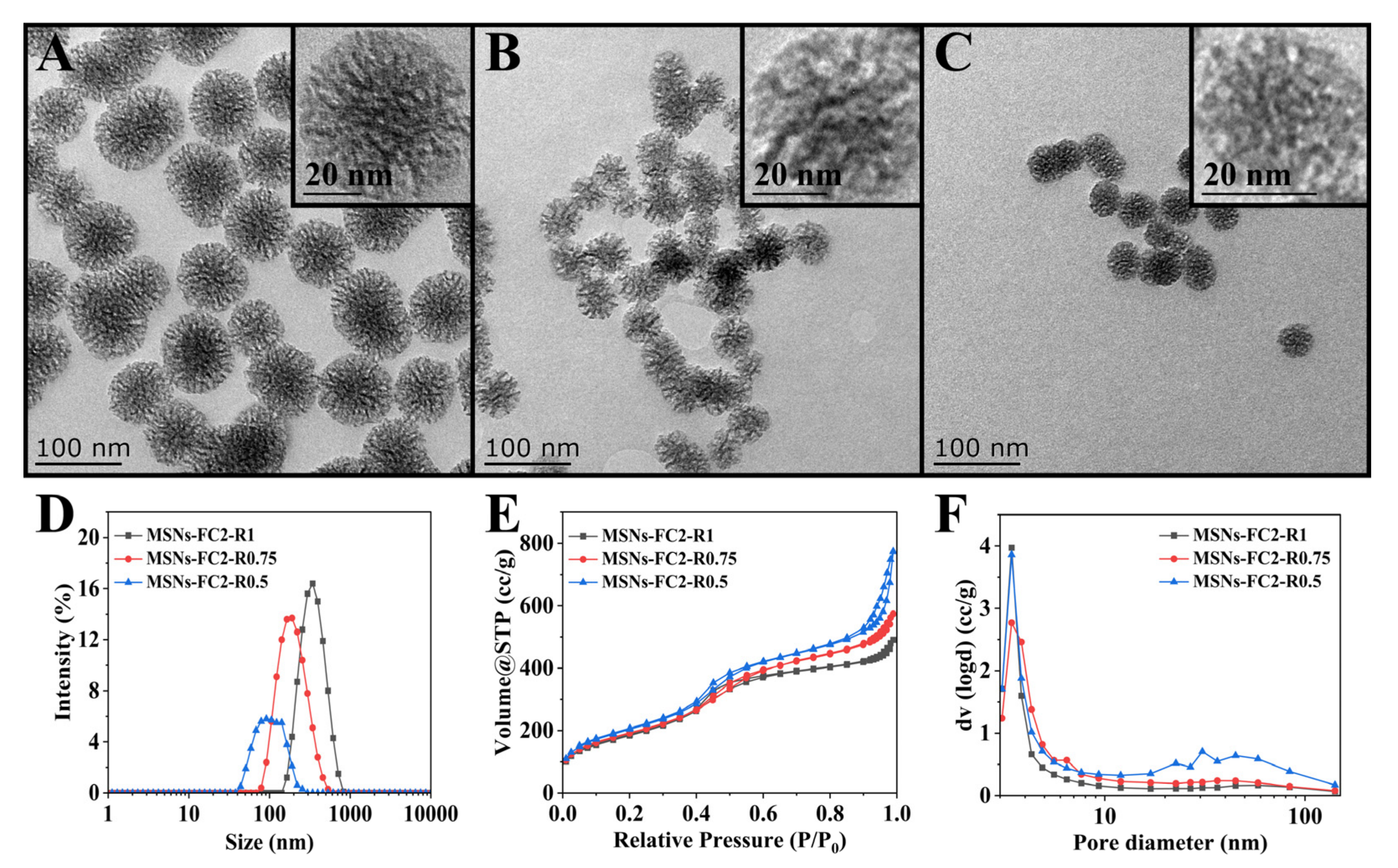 Molecules 27 01218 g001