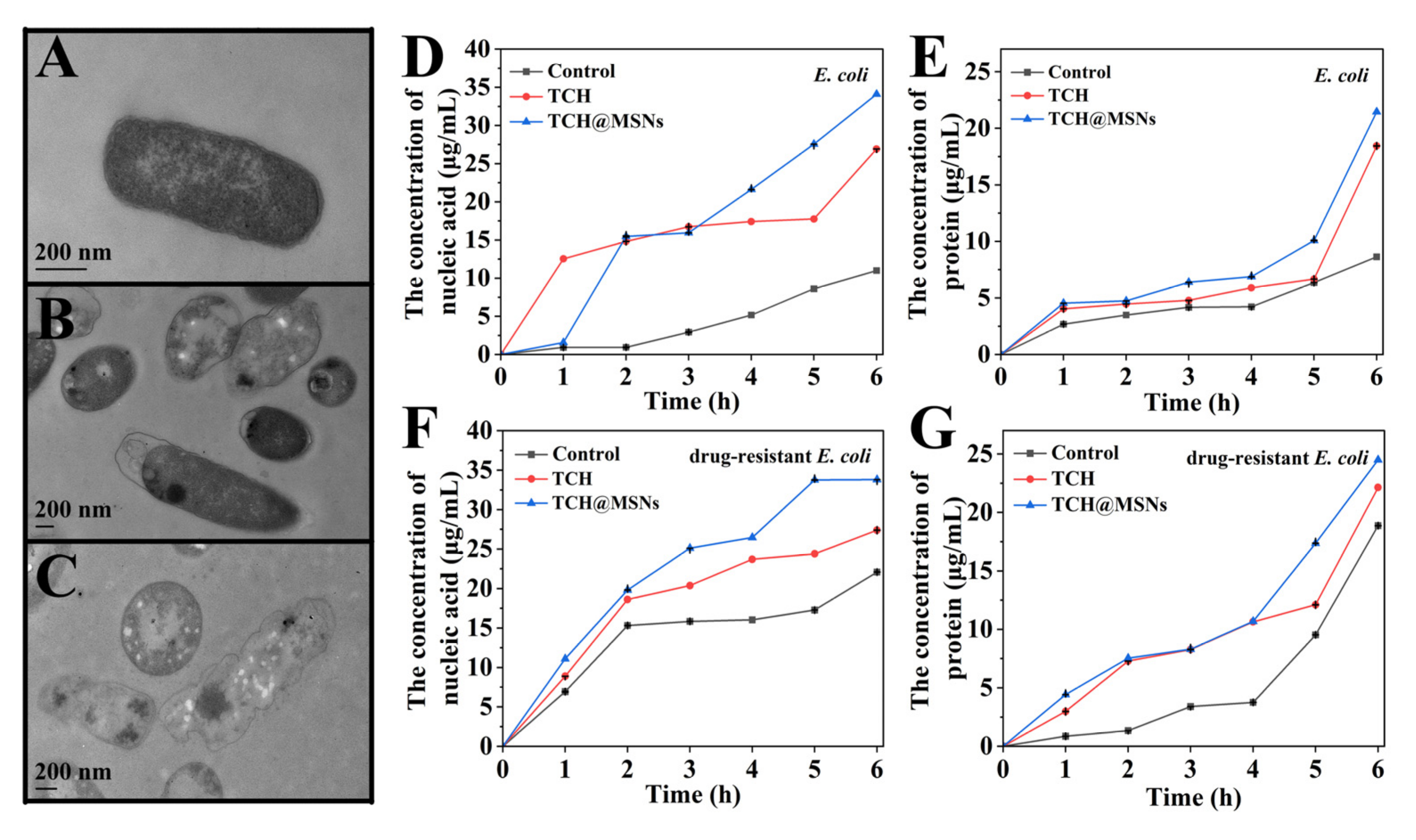 Molecules 27 01218 g004