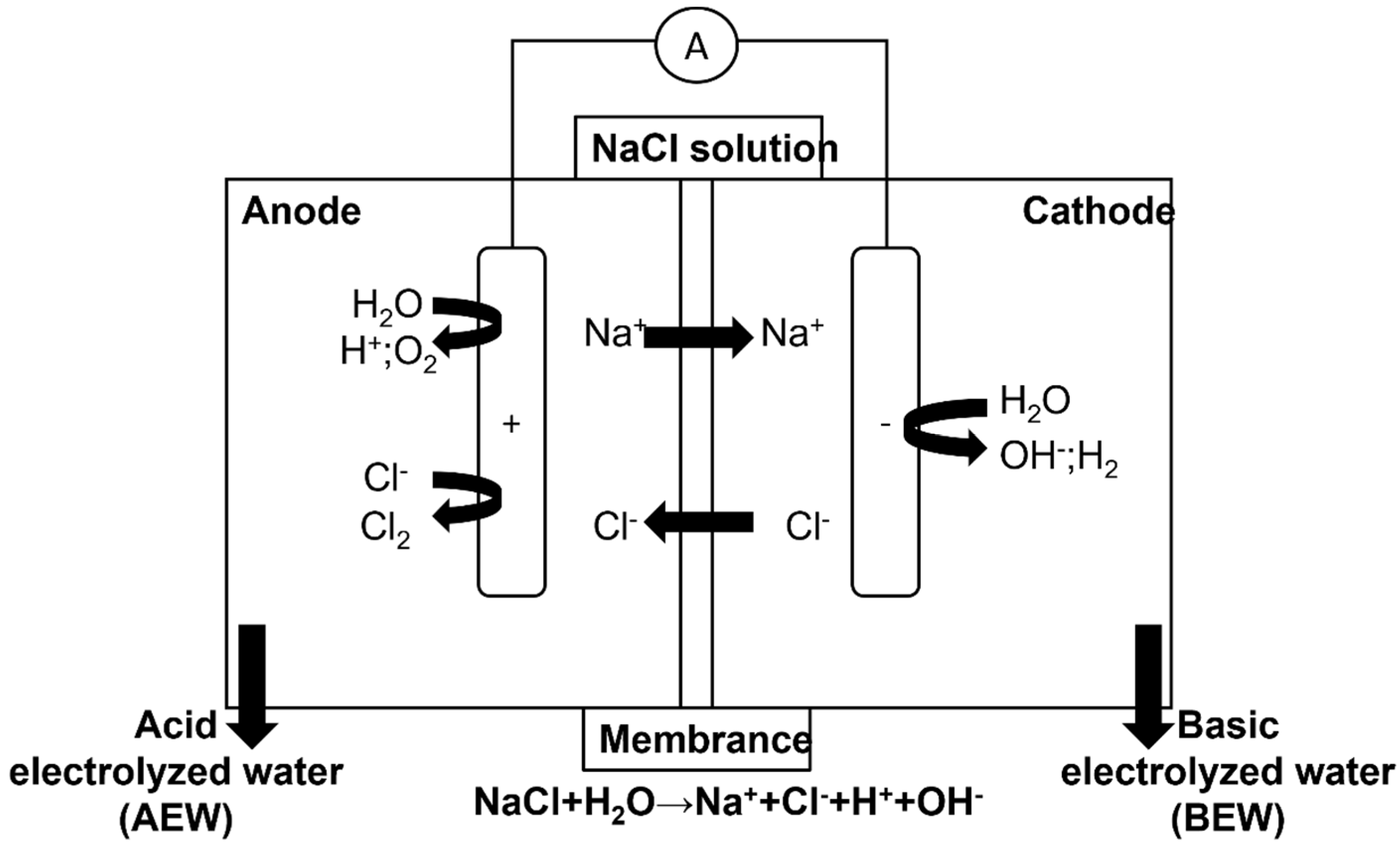 Electrolyzed Water and Its Pharmacological Activities: A