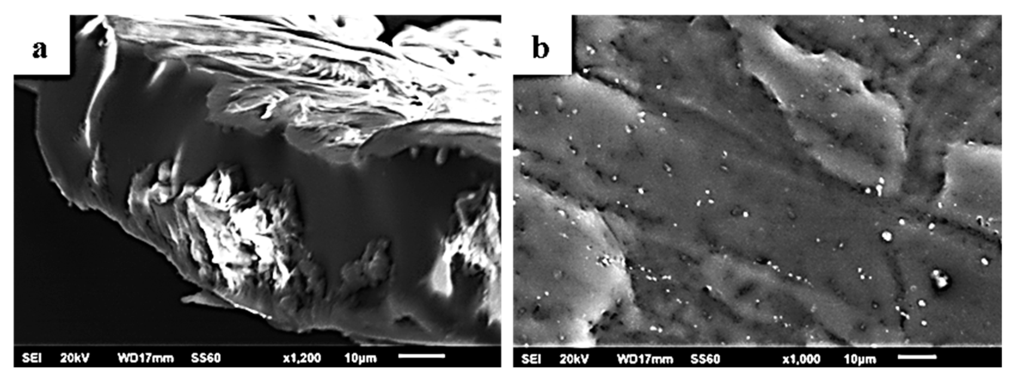 Molecules 27 01231 g004 550