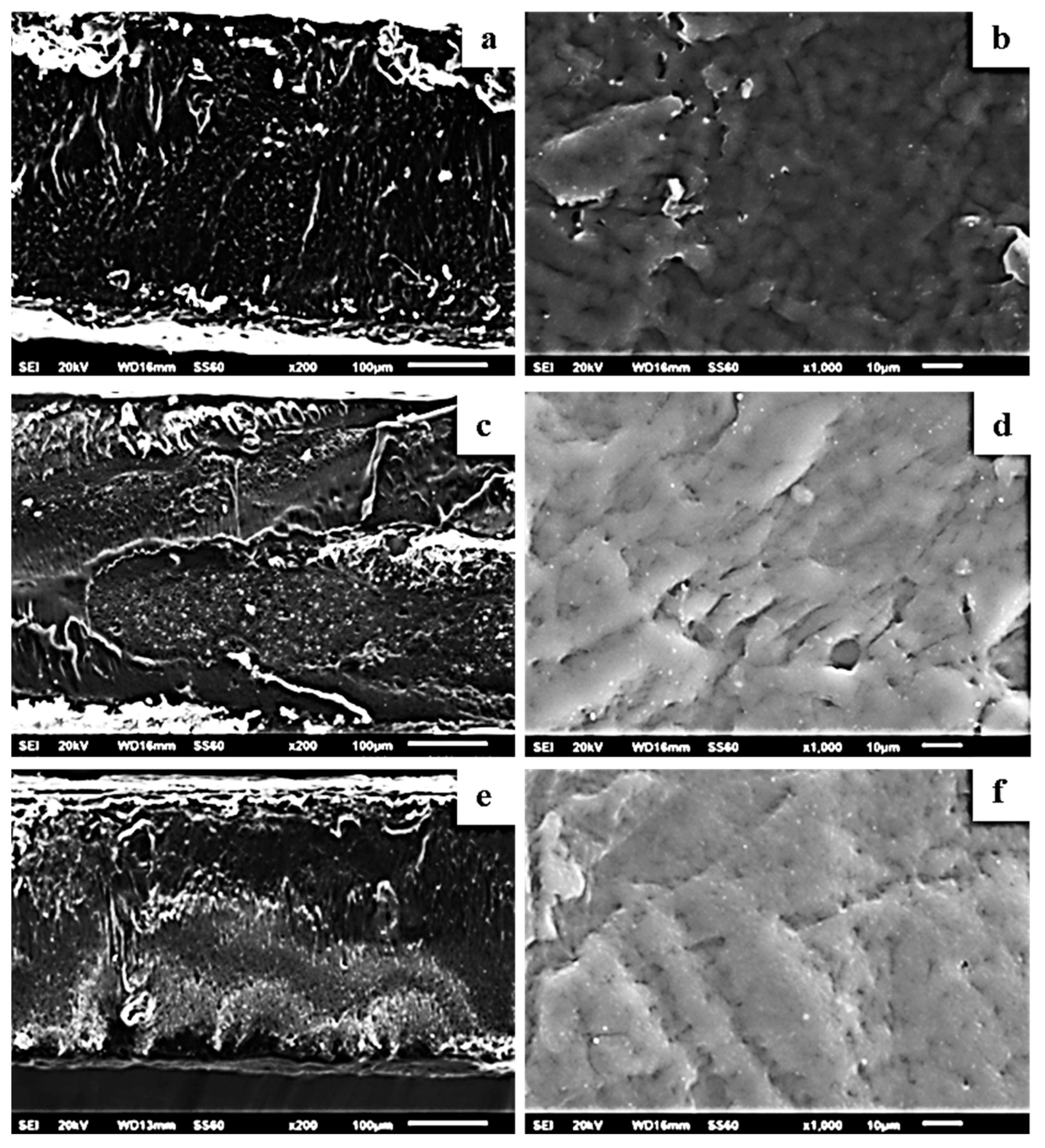 Molecules 27 01231 g008 550