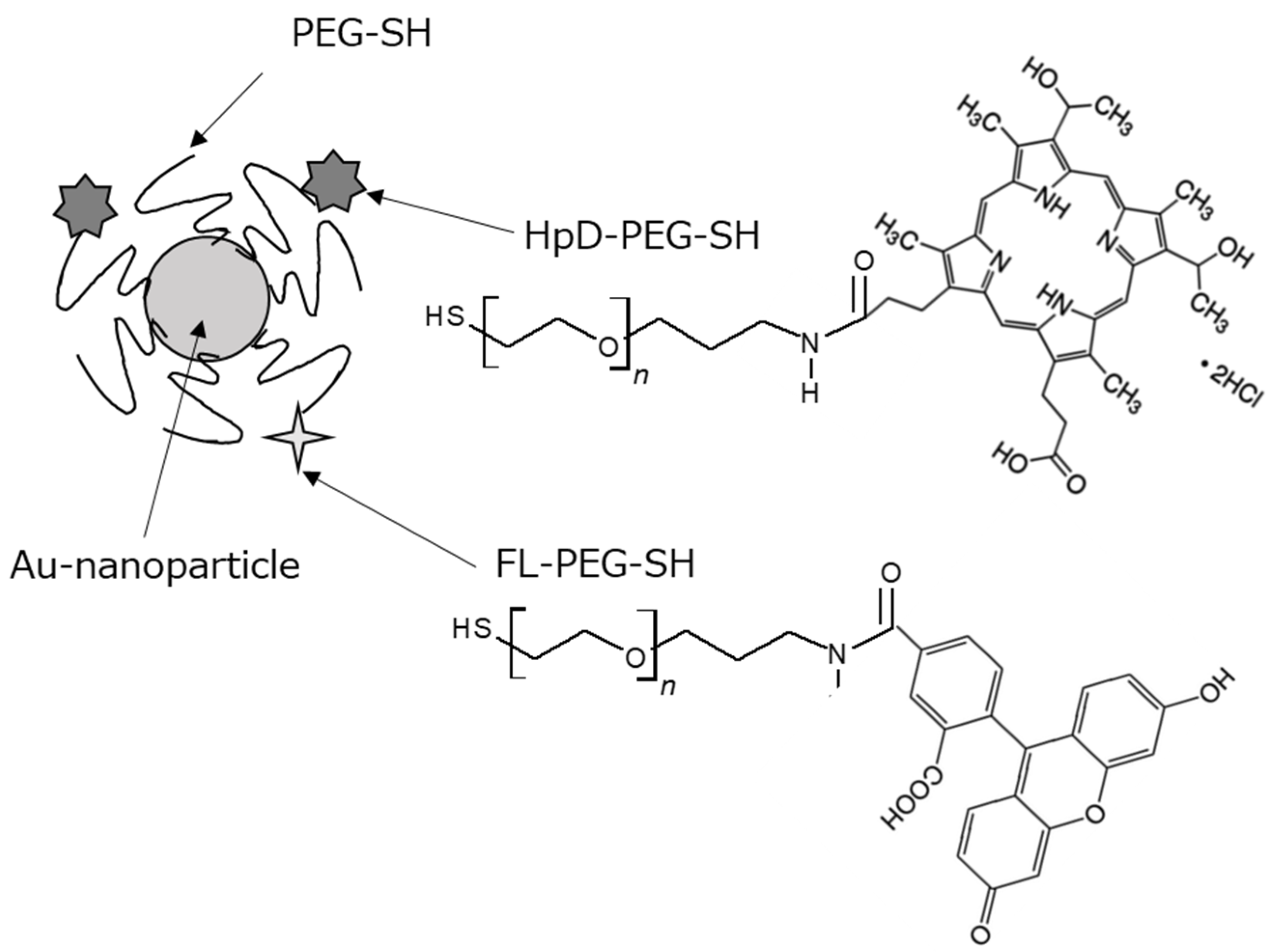 Molecules 27 01238 g001 550
