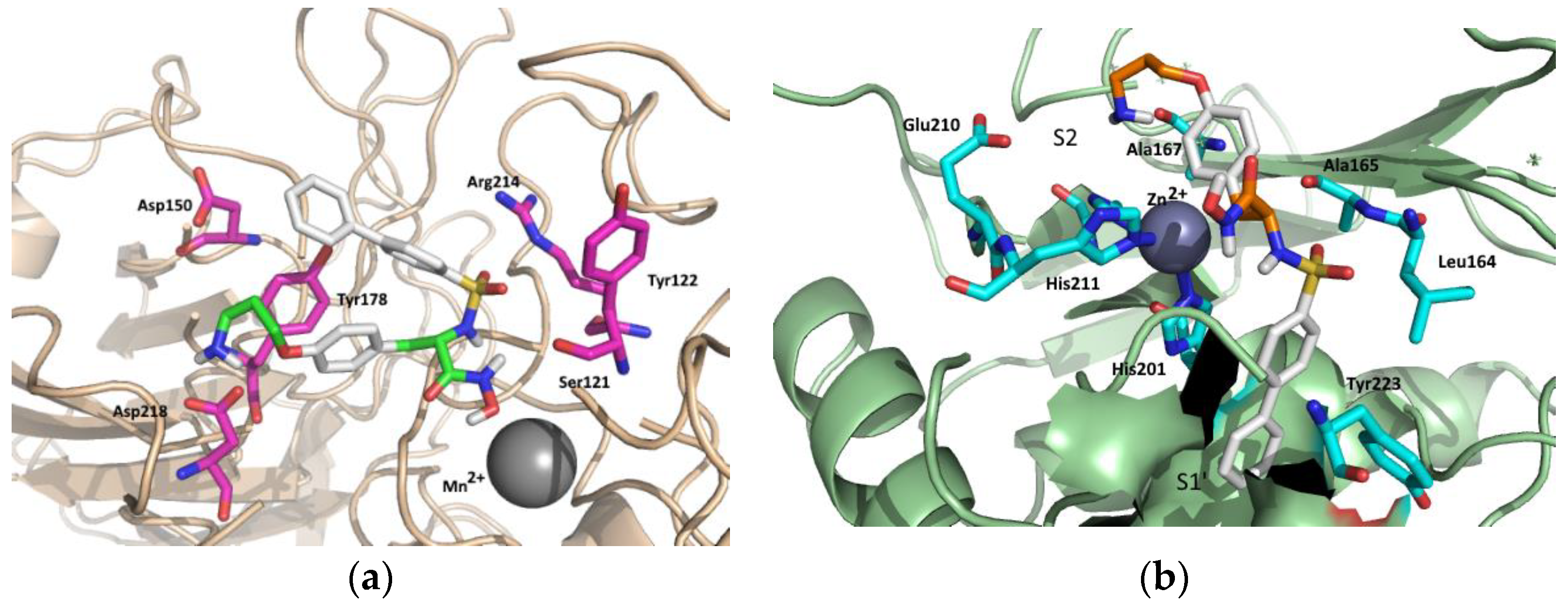 Molecules 27 01249 g004 550