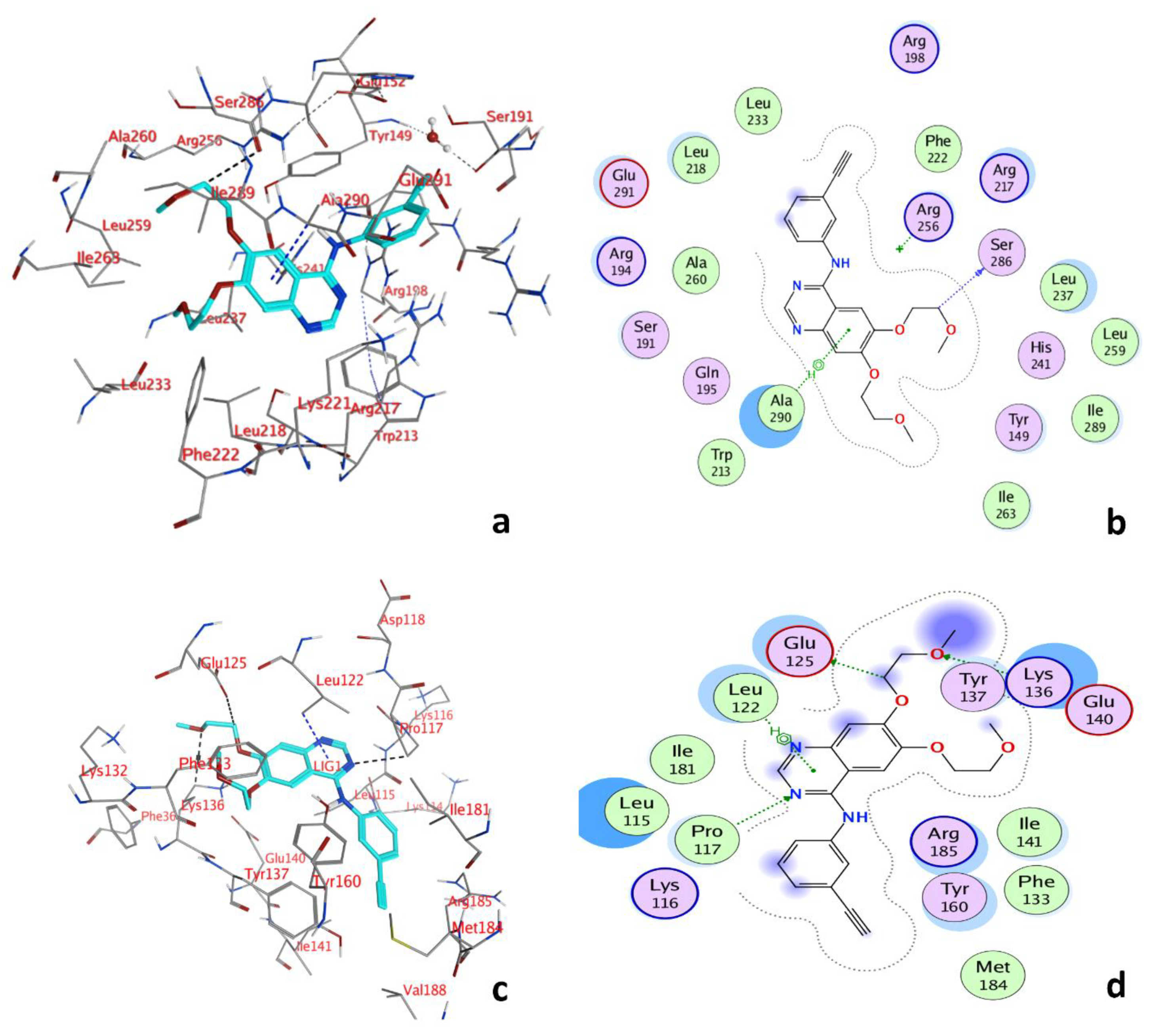 Molecules 27 01265 g005