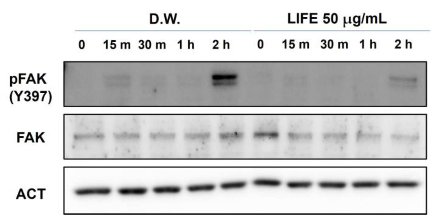 Molecules 27 01274 g003 Molecules 27 01274 g003