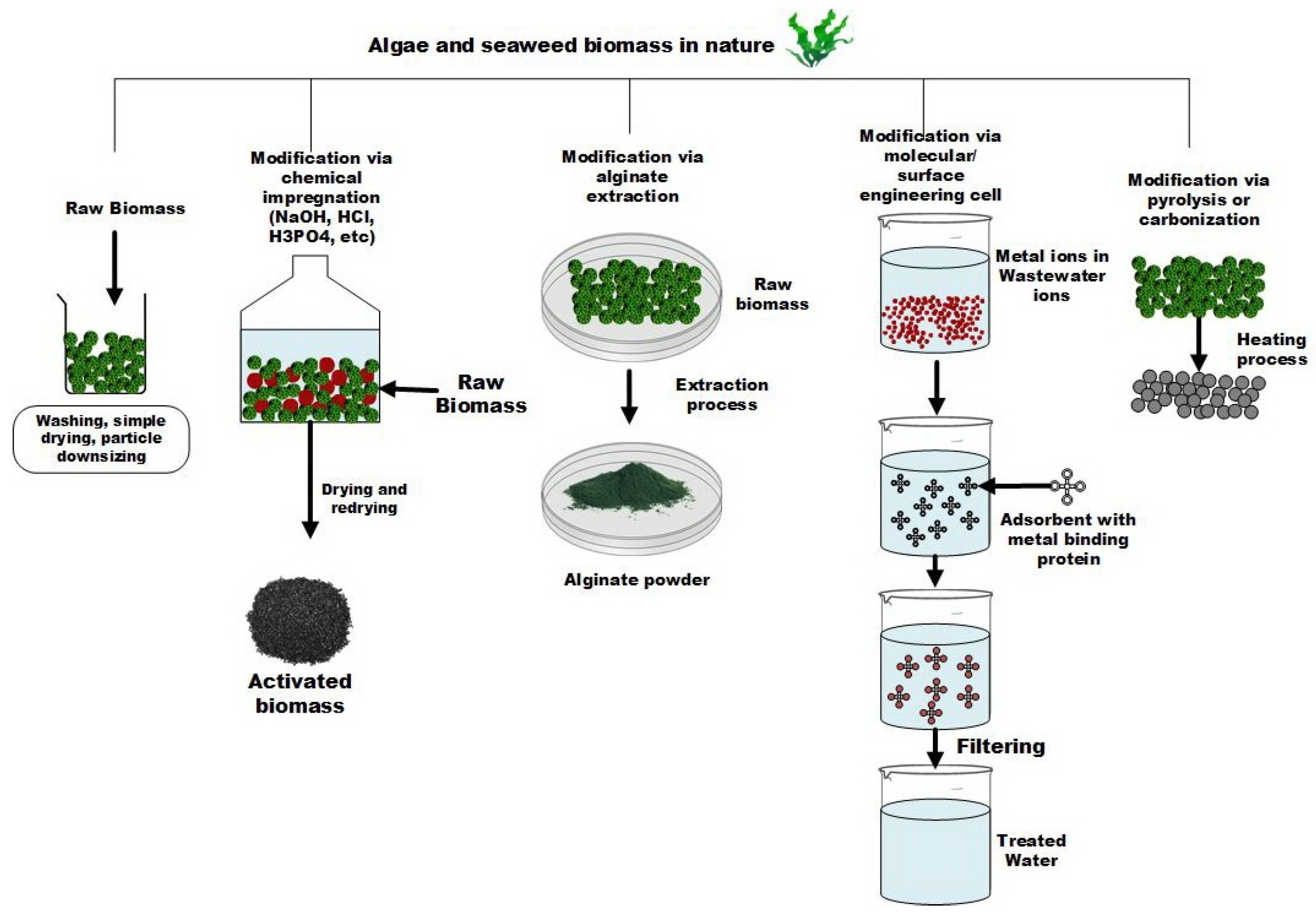 Molecules 27 01275 g002 550