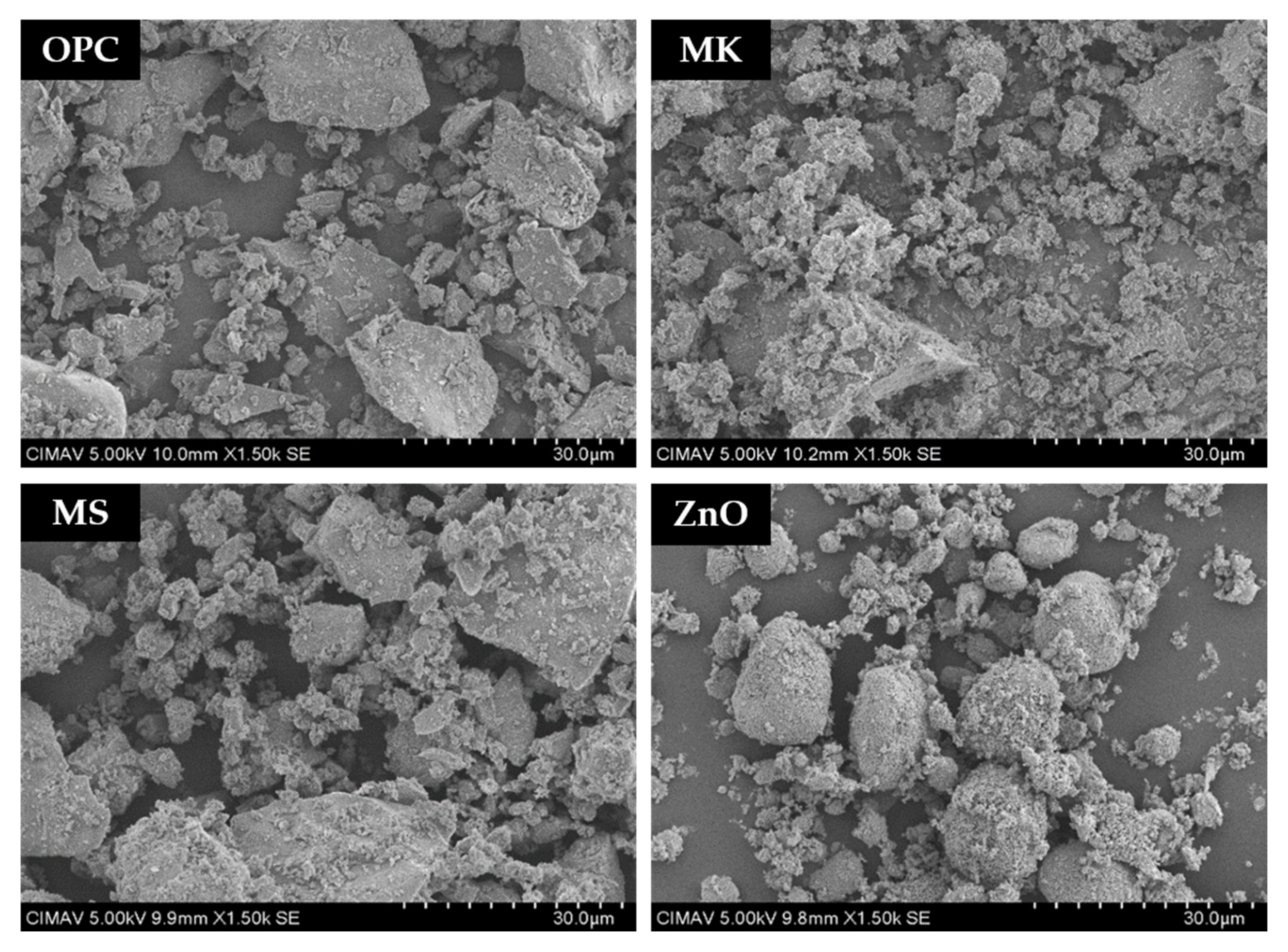 Molecules 27 01278 g006