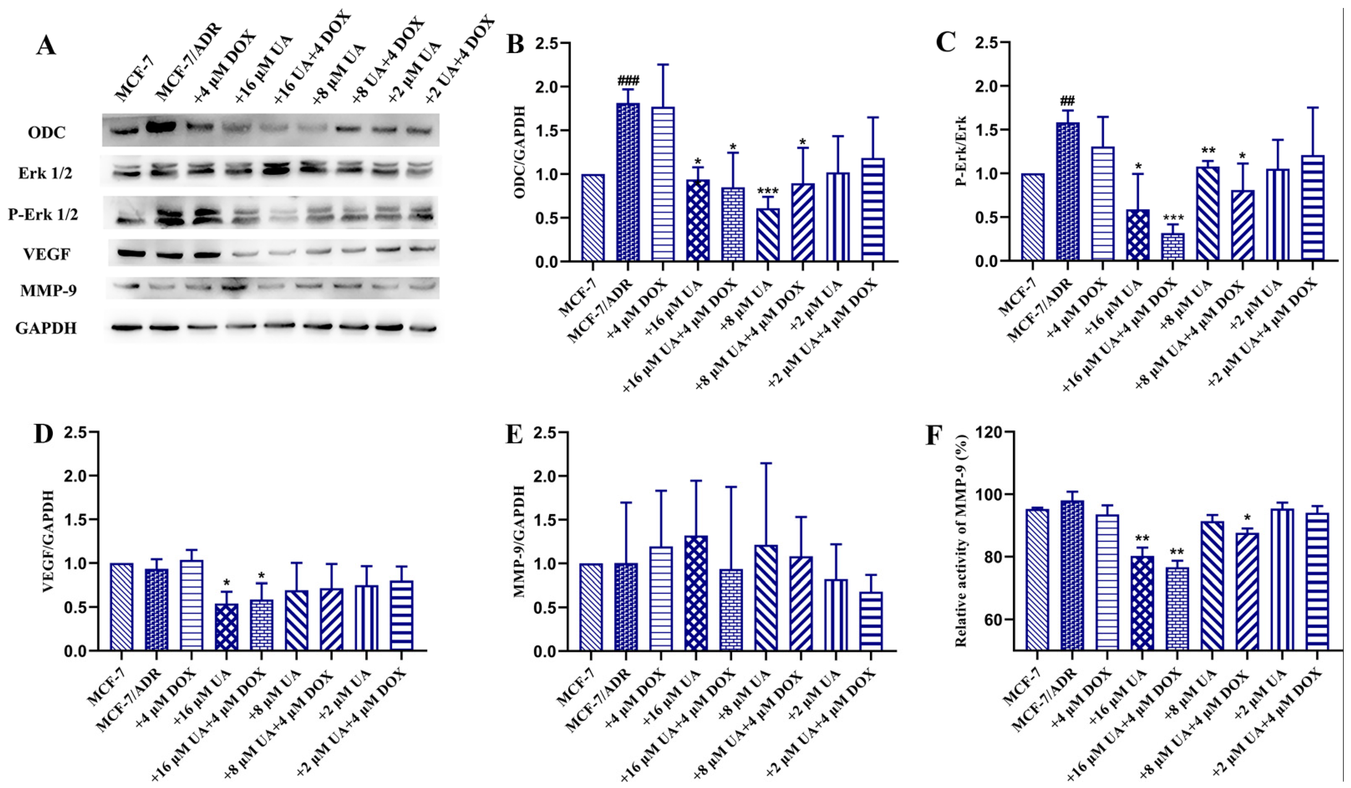 Molecules 27 01282 g005