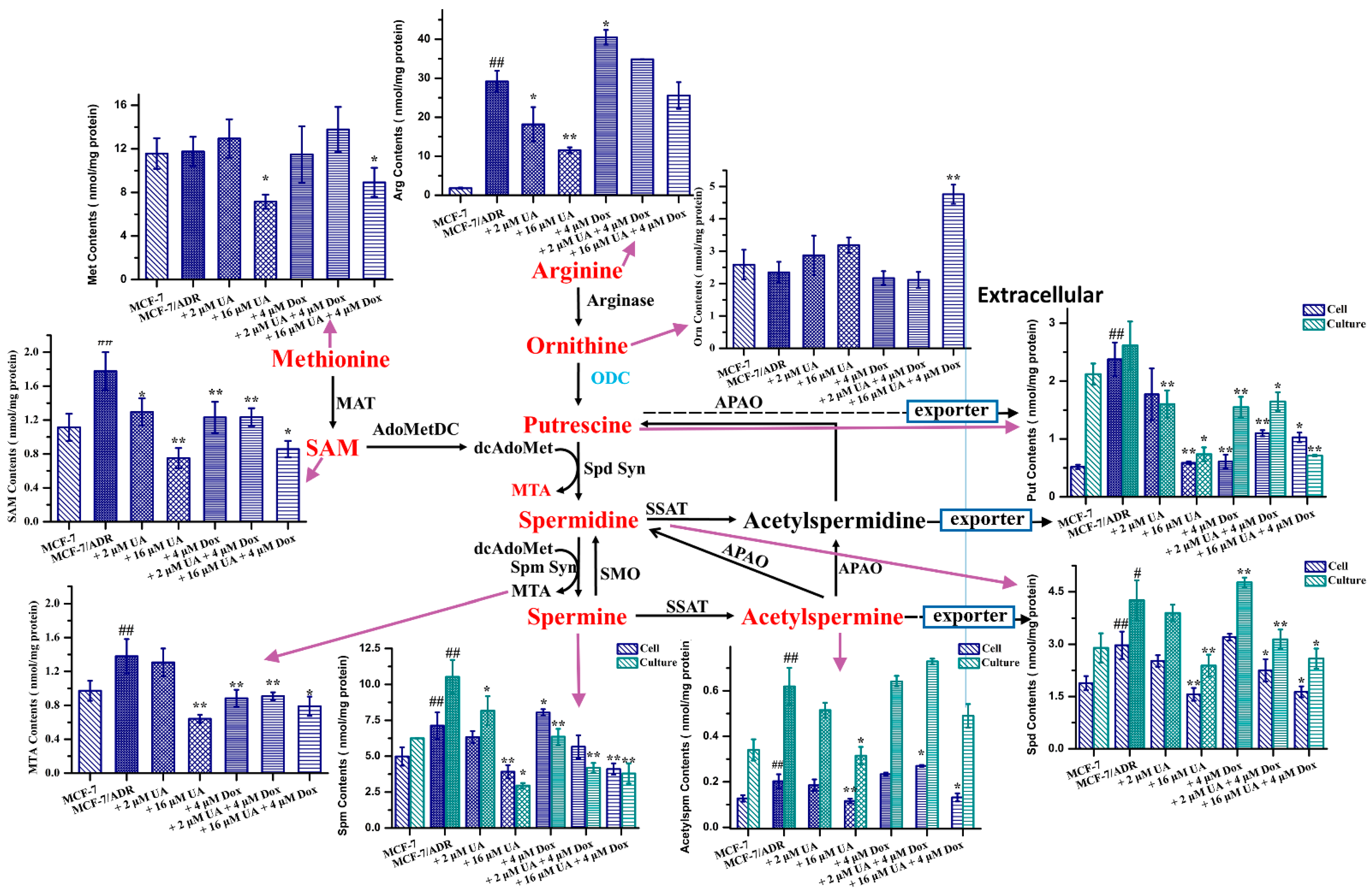 Molecules 27 01282 g006