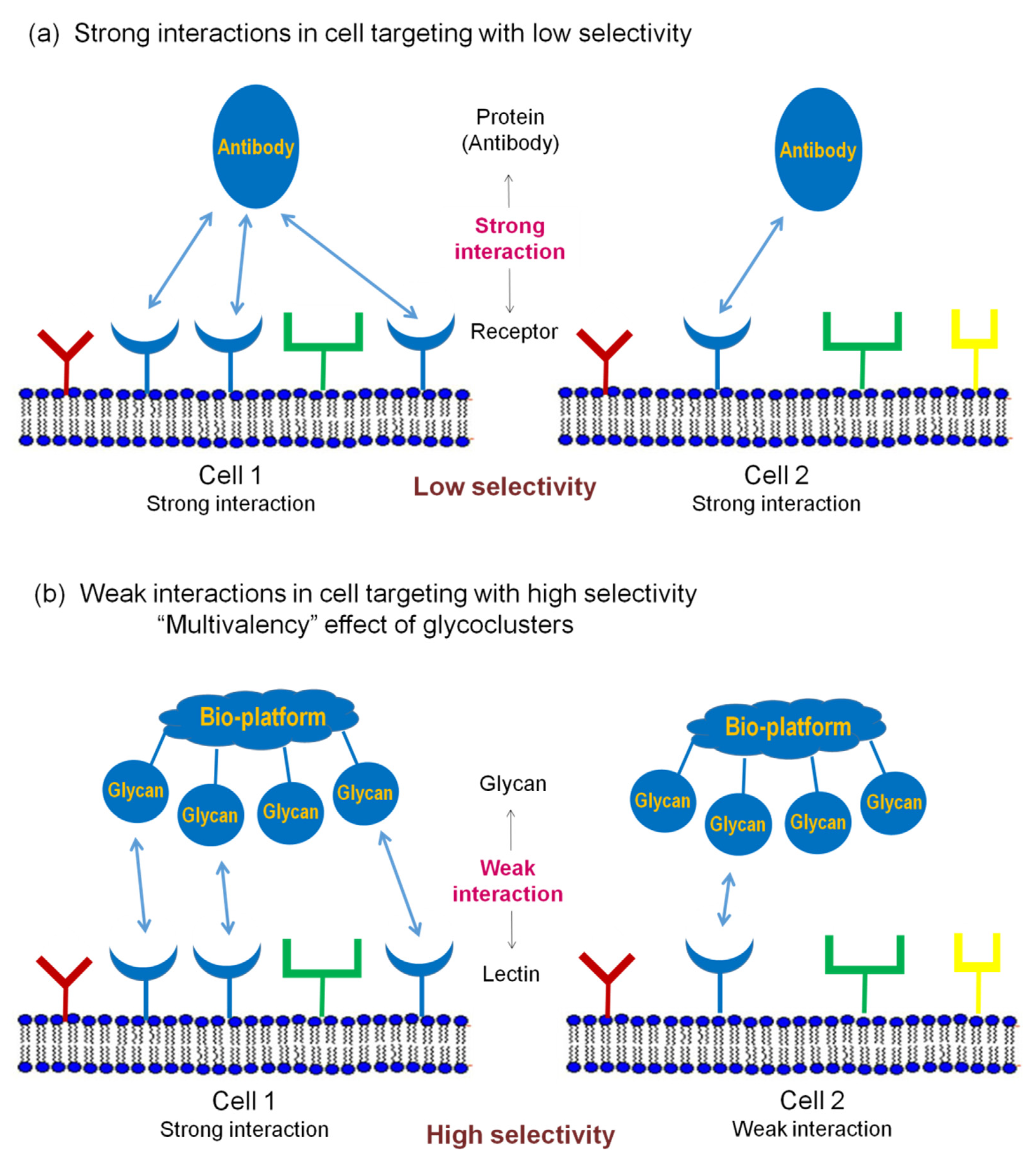 Molecules 27 01285 g002 550