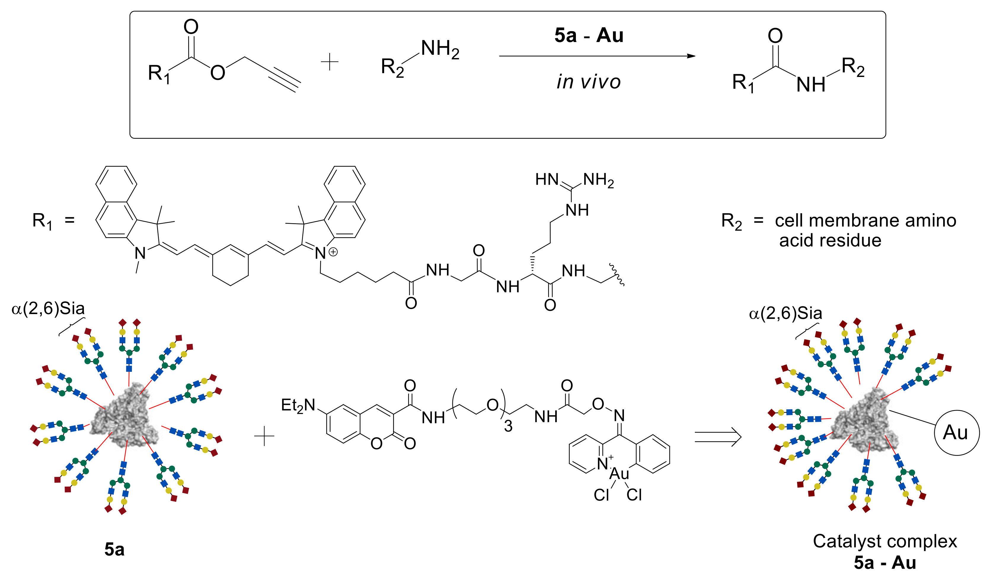 Molecules 27 01285 g004 550