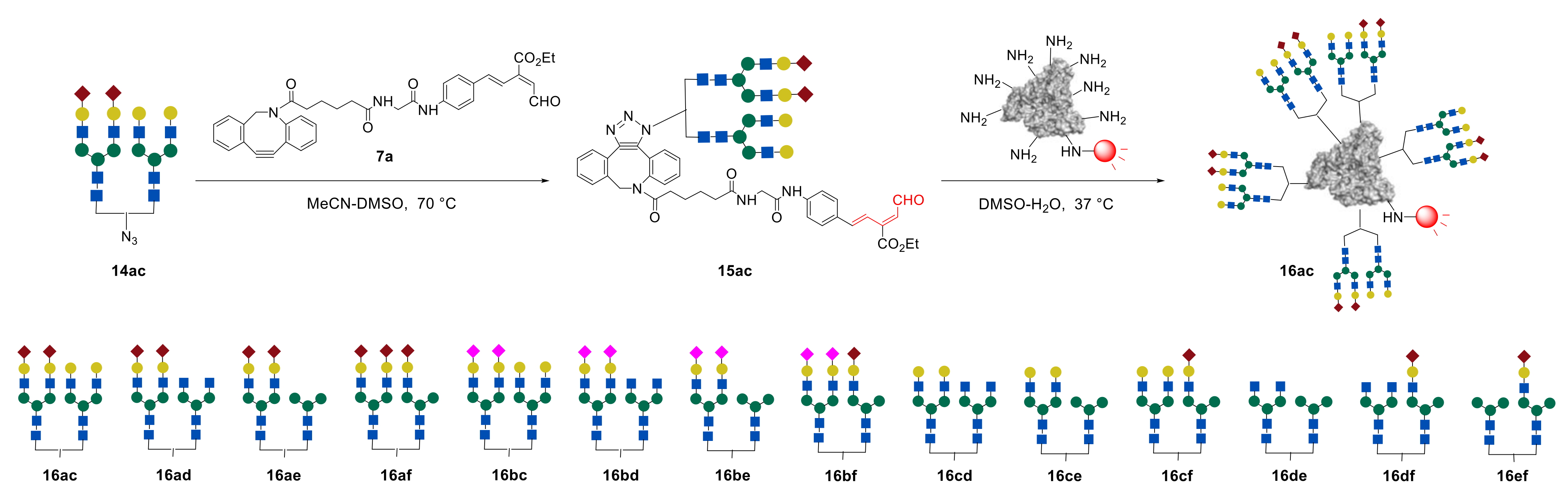Molecules 27 01285 g011 550