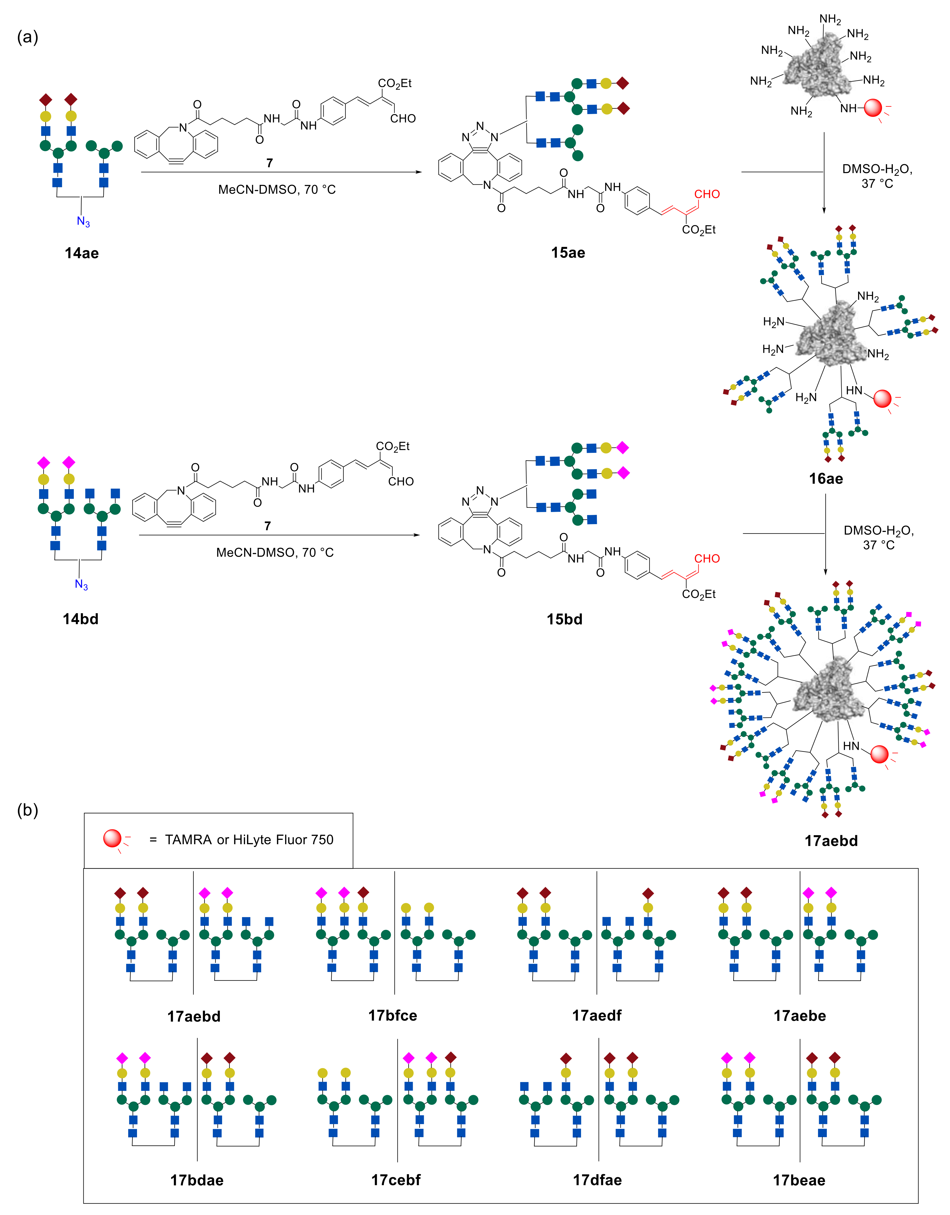 Molecules 27 01285 g013 550