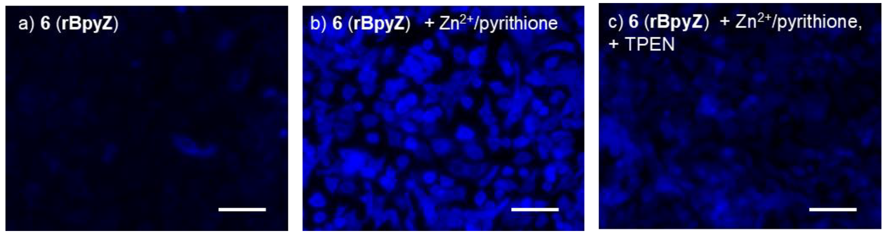 Molecules 27 01287 g008 550