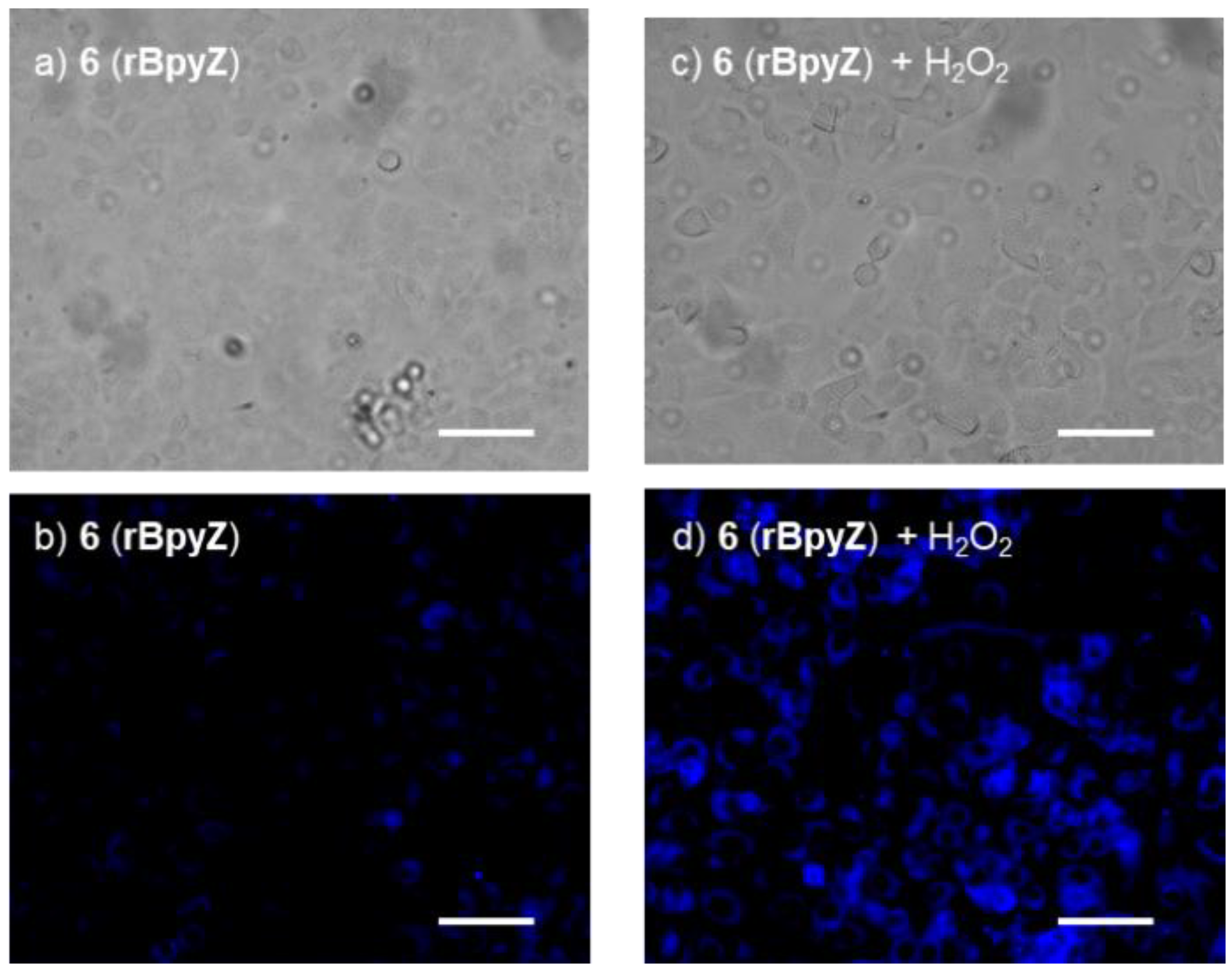 Molecules 27 01287 g009 550