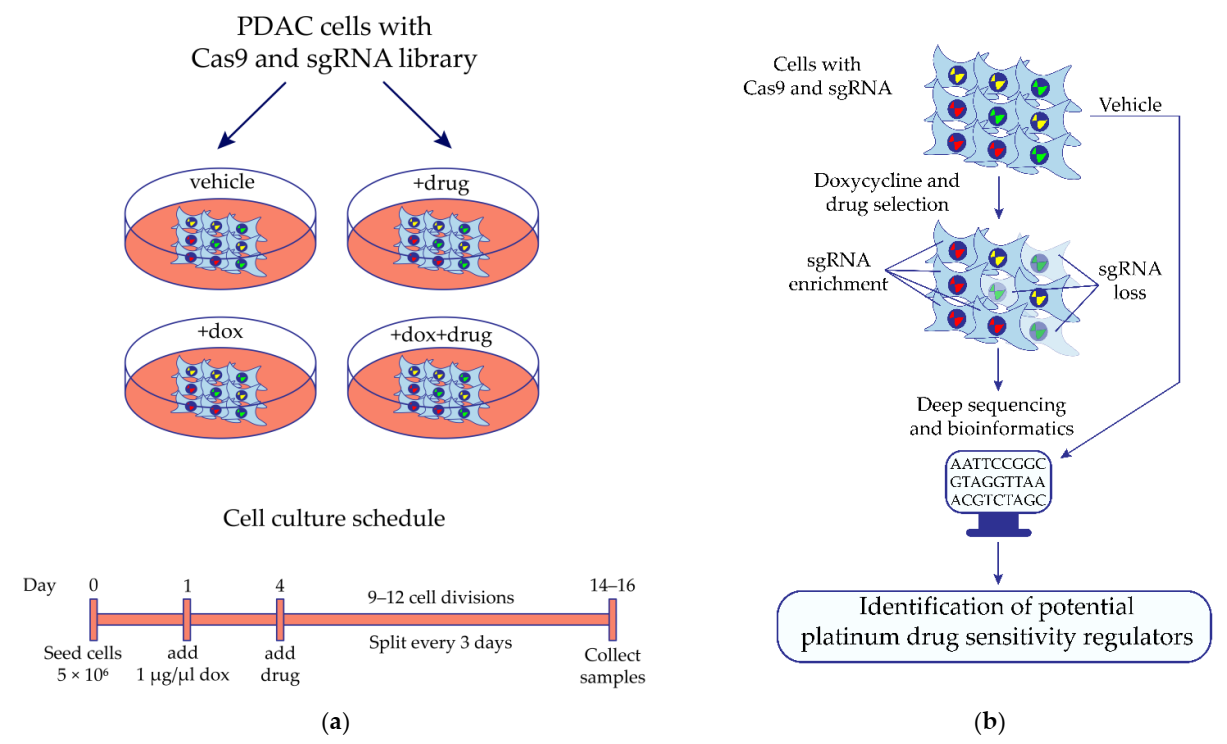 Molecules 27 01289 g001