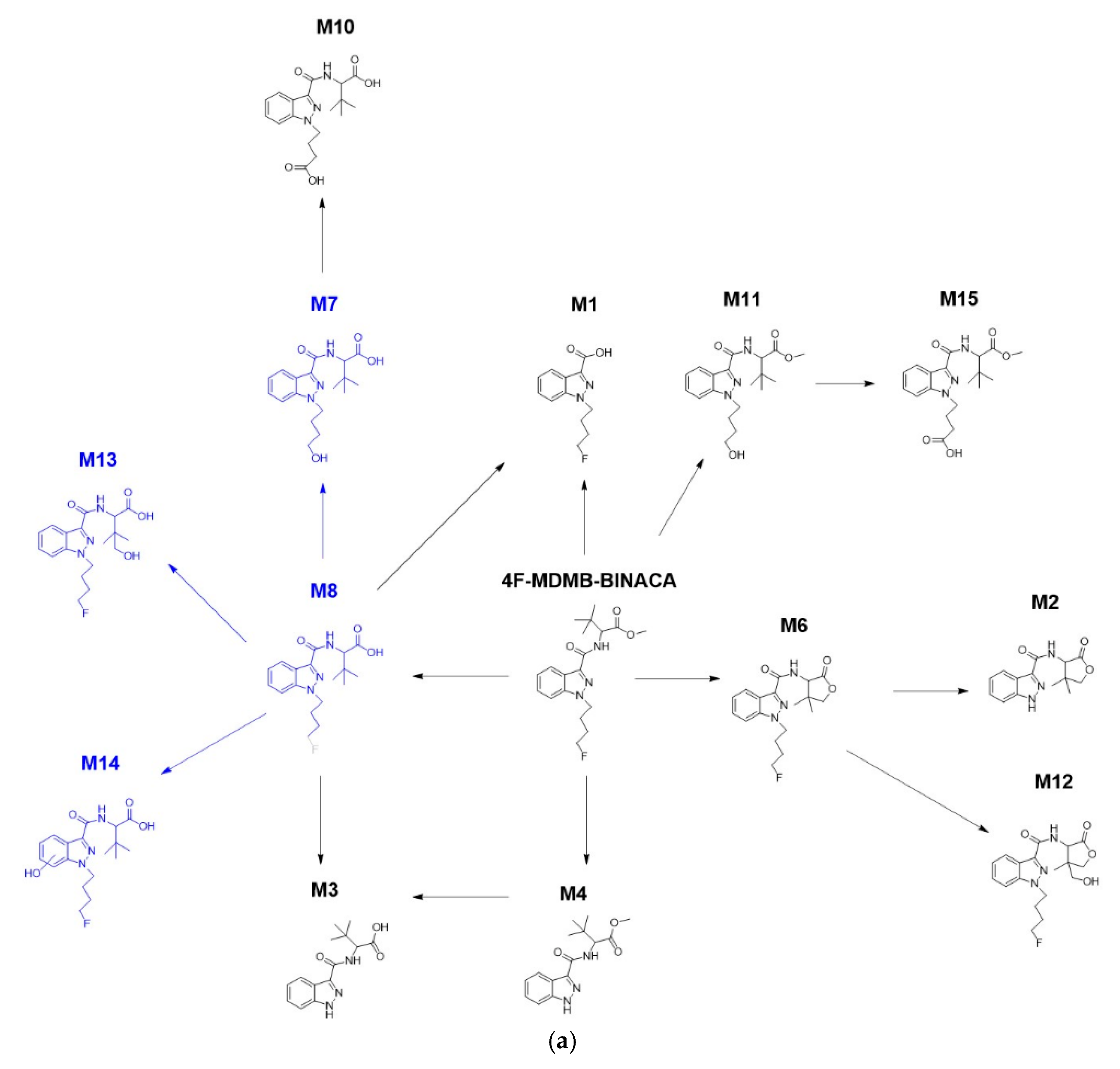 Molecules 27 01290 g004a