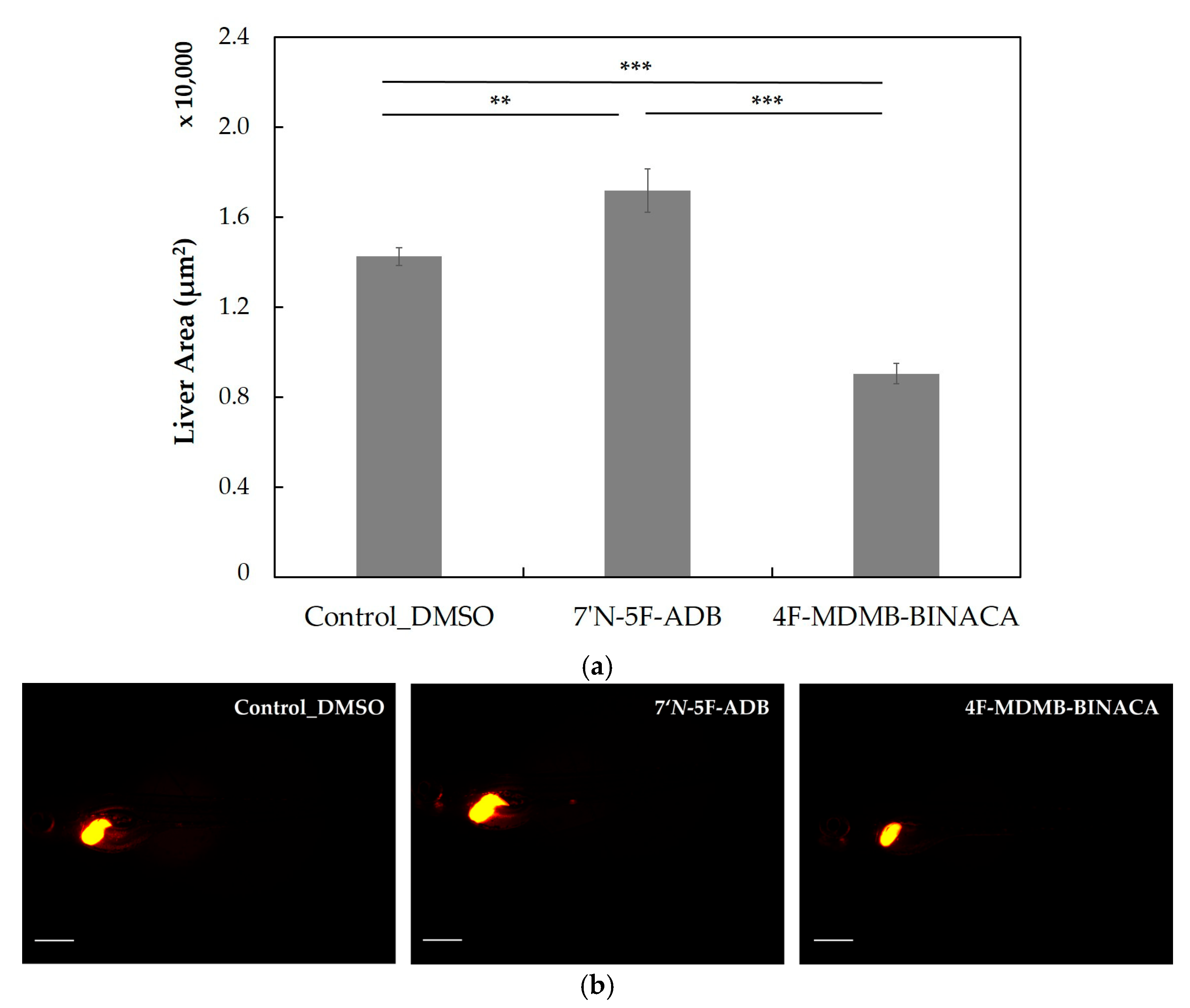 Molecules 27 01290 g007
