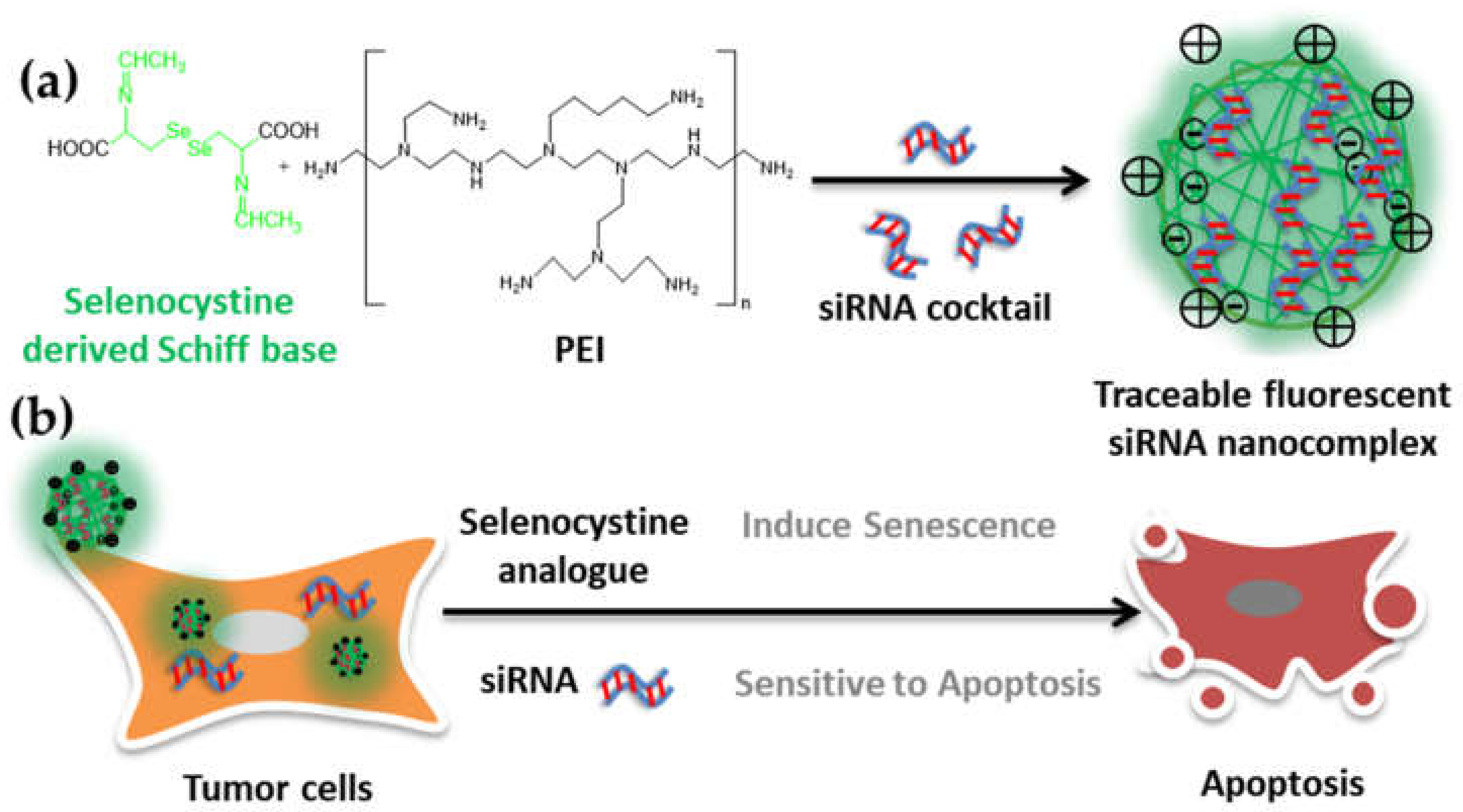 Molecules 27 01302 g001