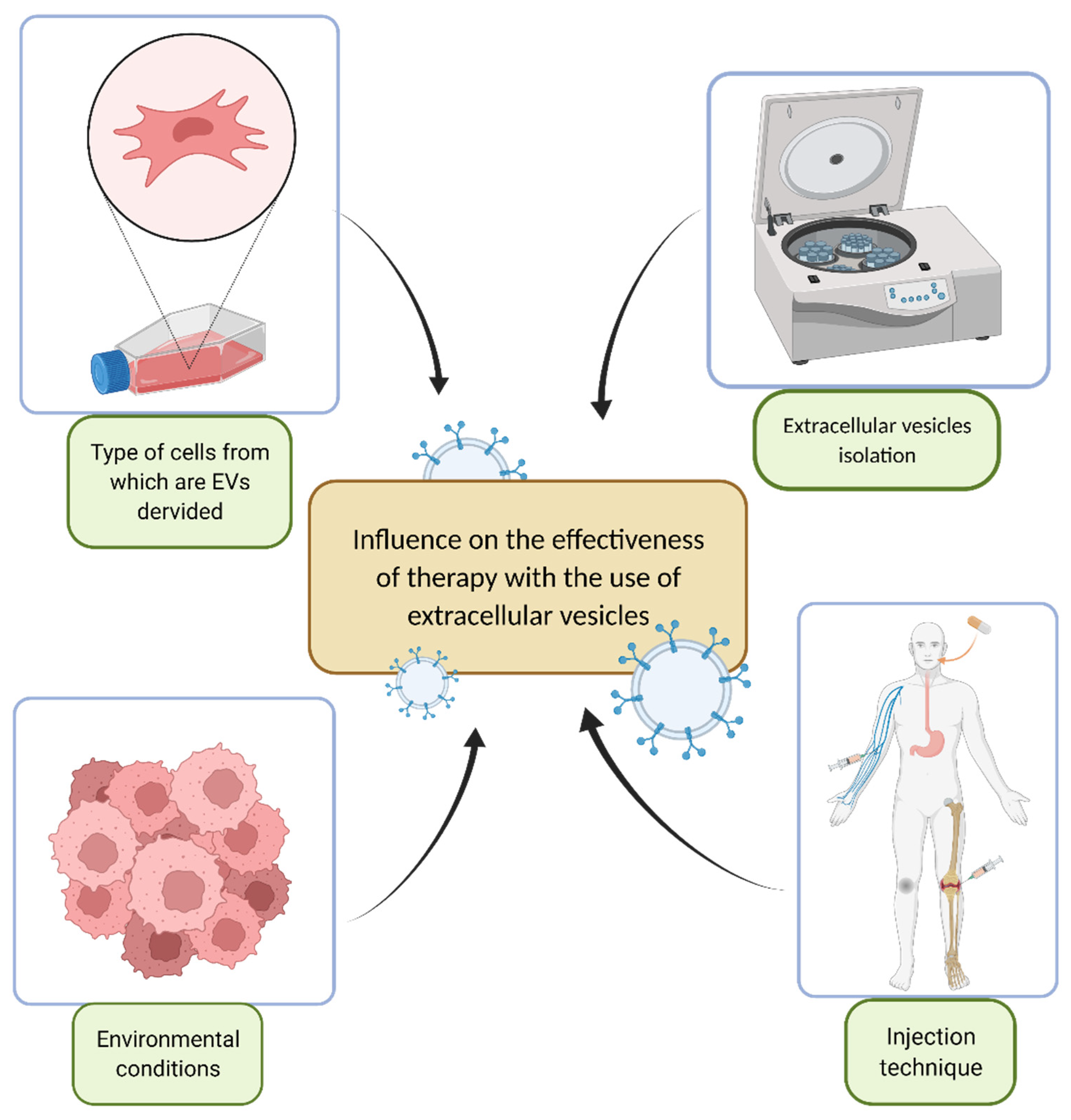 Synergistic Effects of Nanomedicine Targeting TNFR2 and DNA