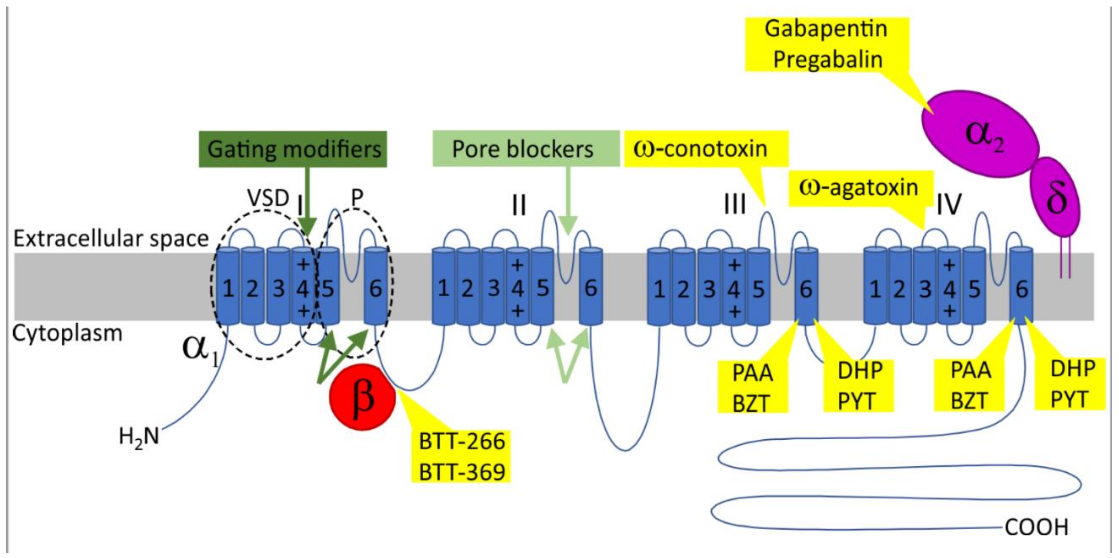 Ash Hess on LinkedIn: This was a fun stage. Full size IPSC targets followed  by 12 IPSCs