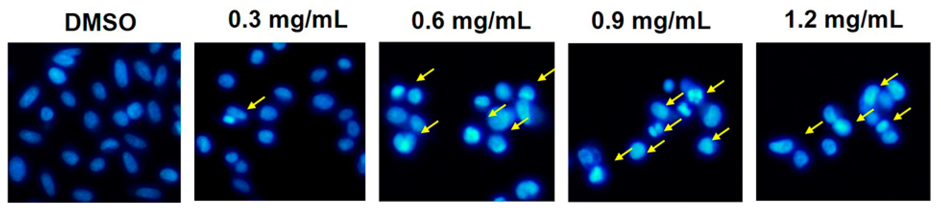 Molecules 27 01313 g002