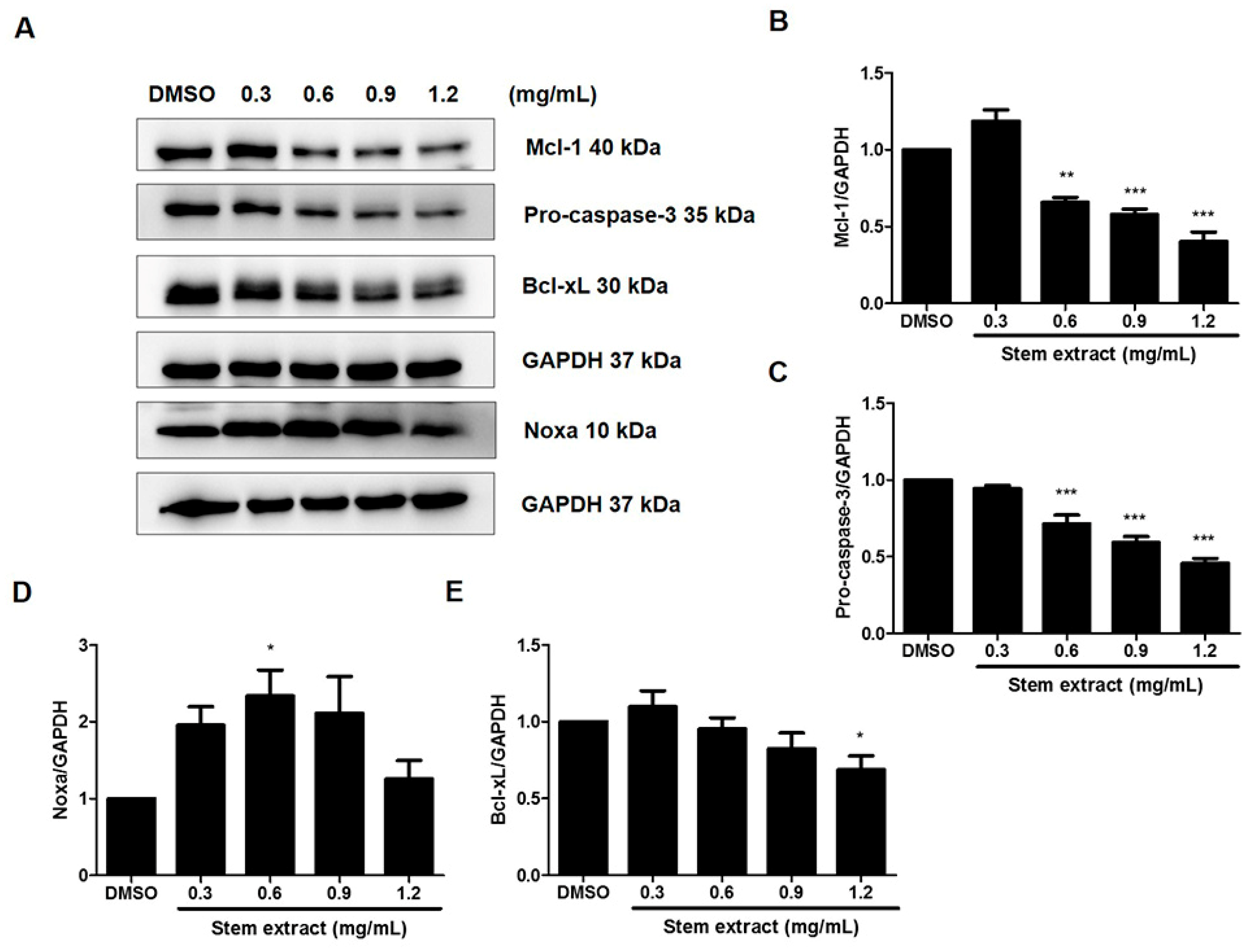 Molecules 27 01313 g005