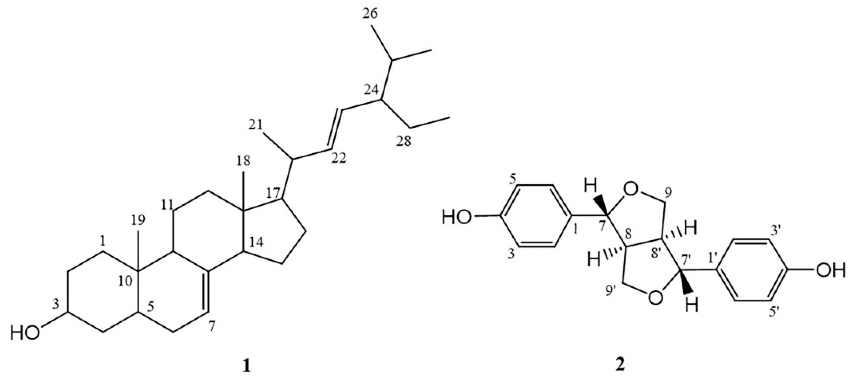 Molecules 27 01313 g007