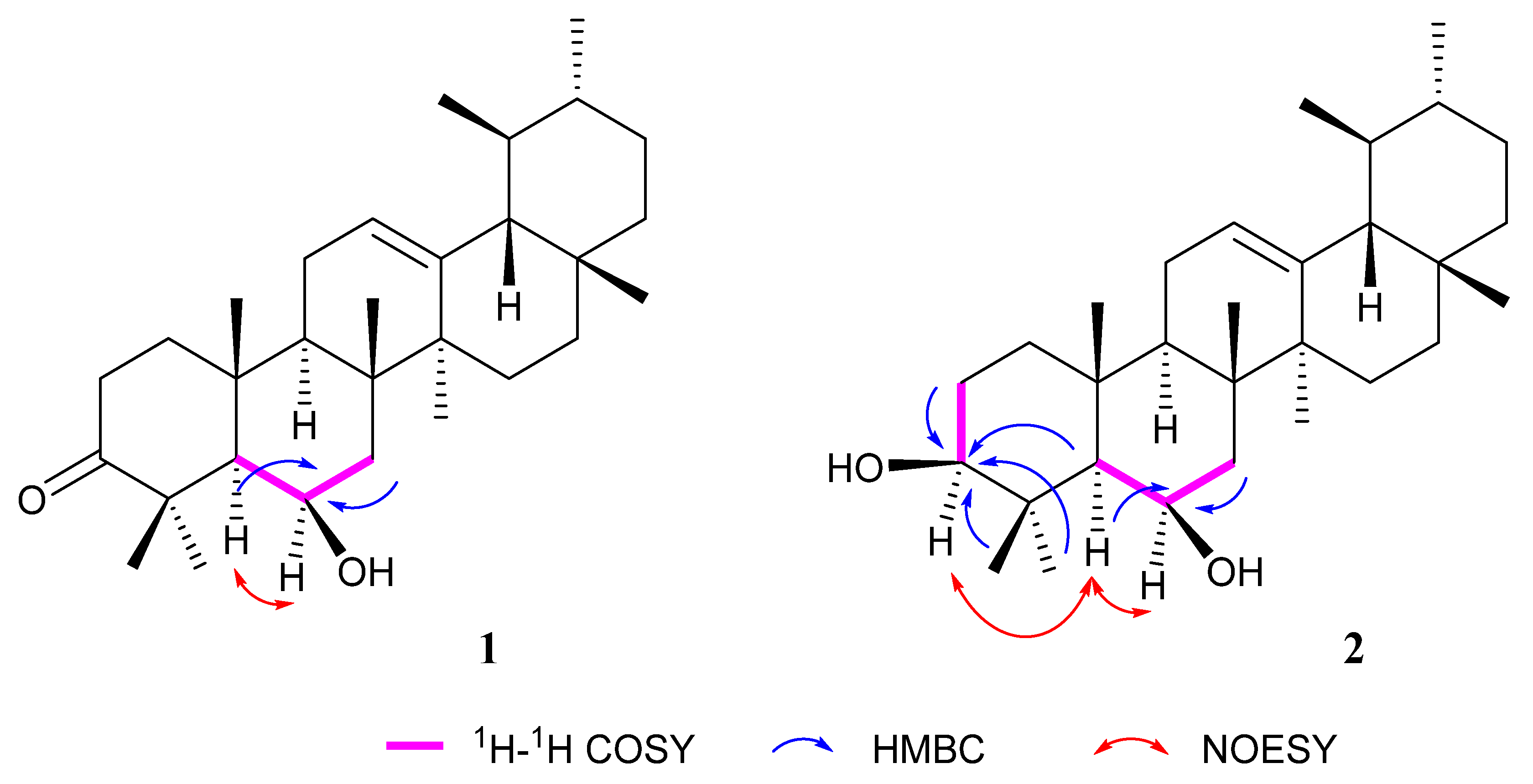 Molecules 27 01316 g002 Molecules 27 01316 g002