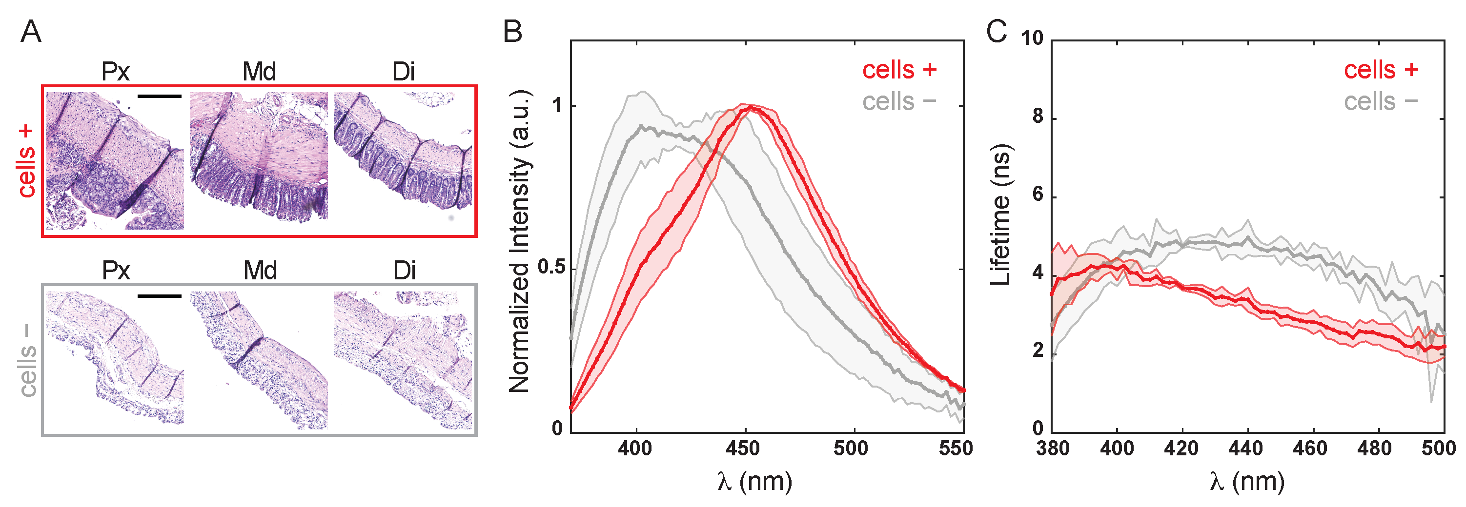 Molecules 27 01317 g002