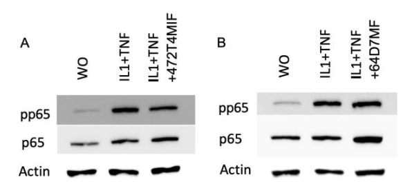 Molecules 27 01321 g008 550